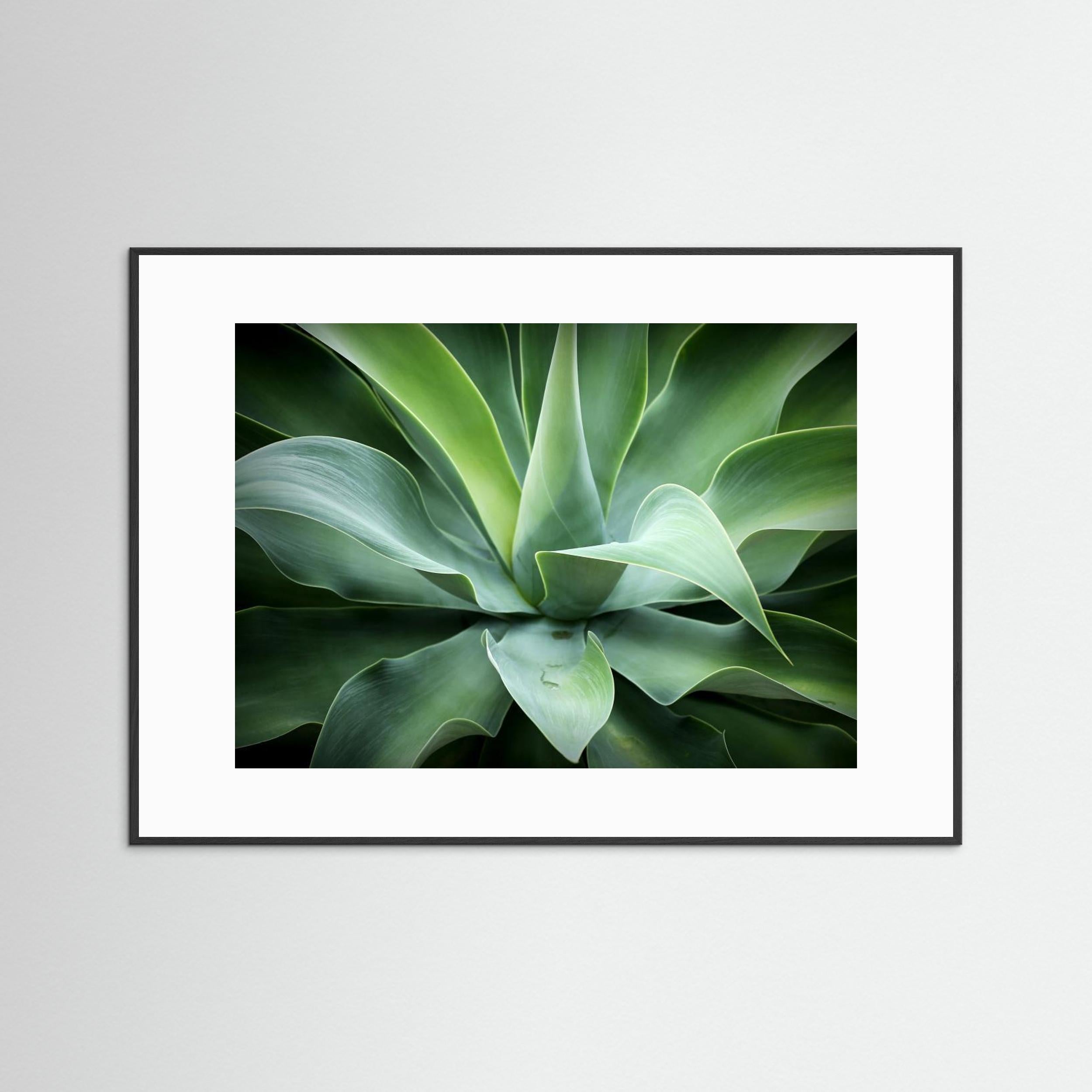 Natural by Isabel Daniel