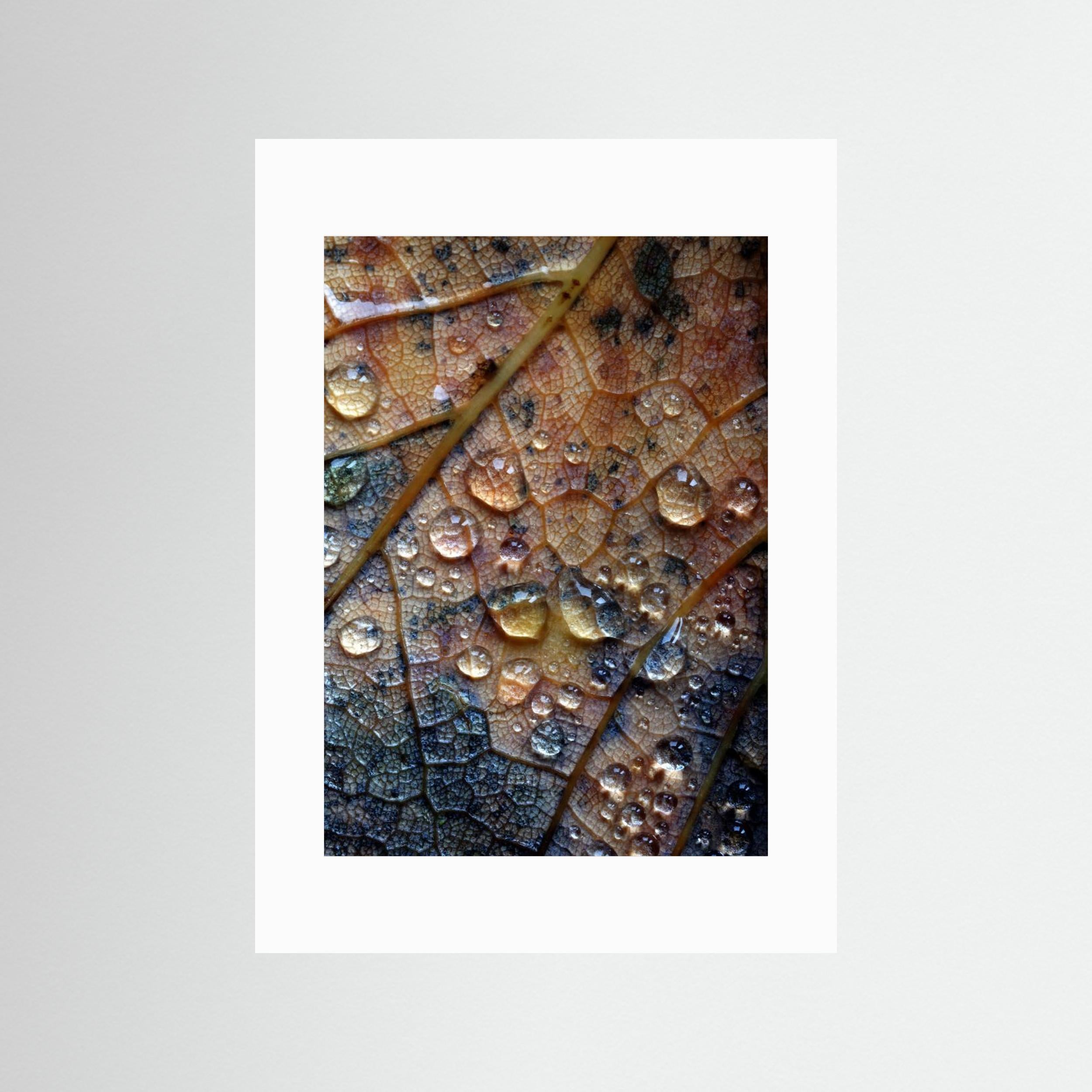 Nature's Tears by David Mc Cracken