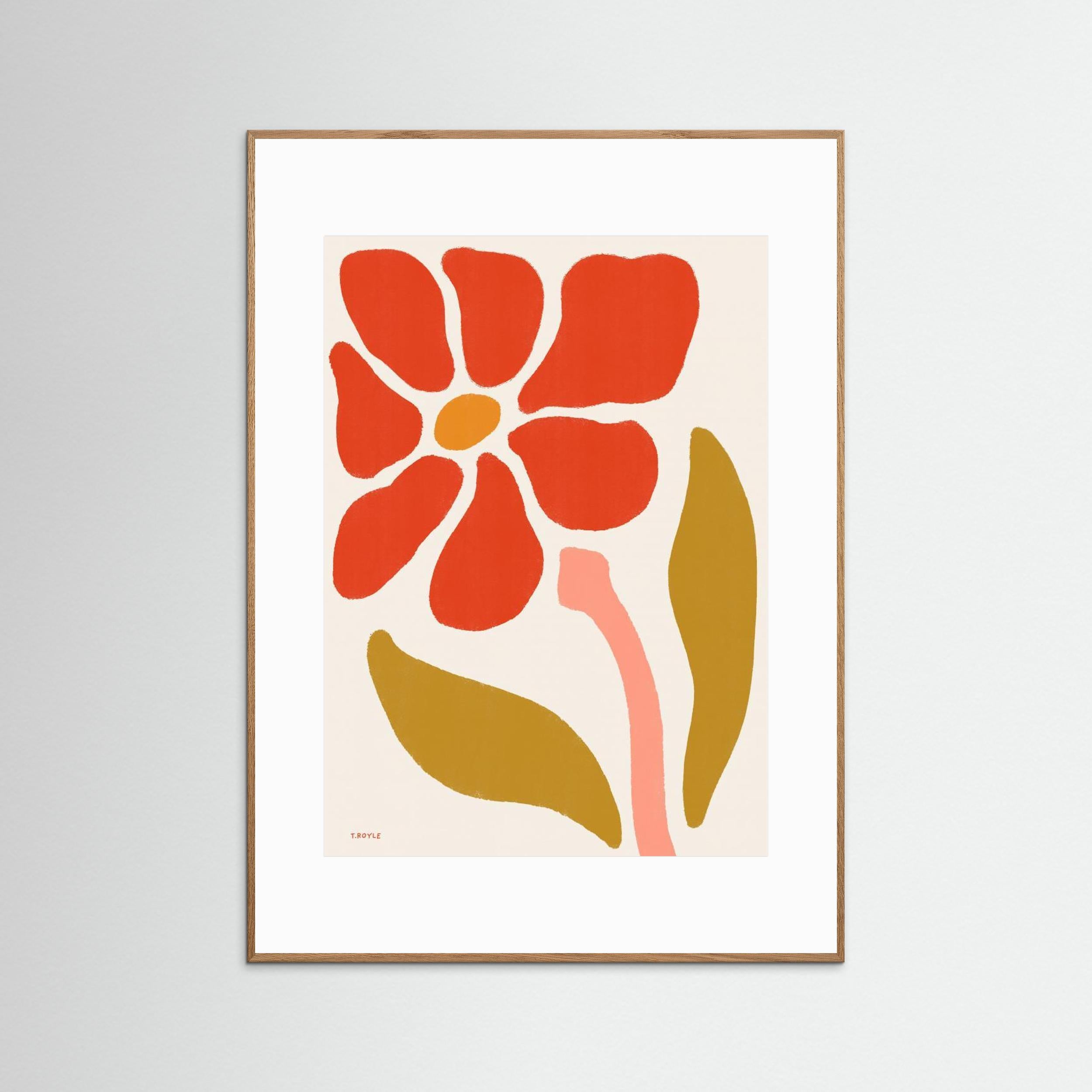 Daisy Flower by Tara Royle