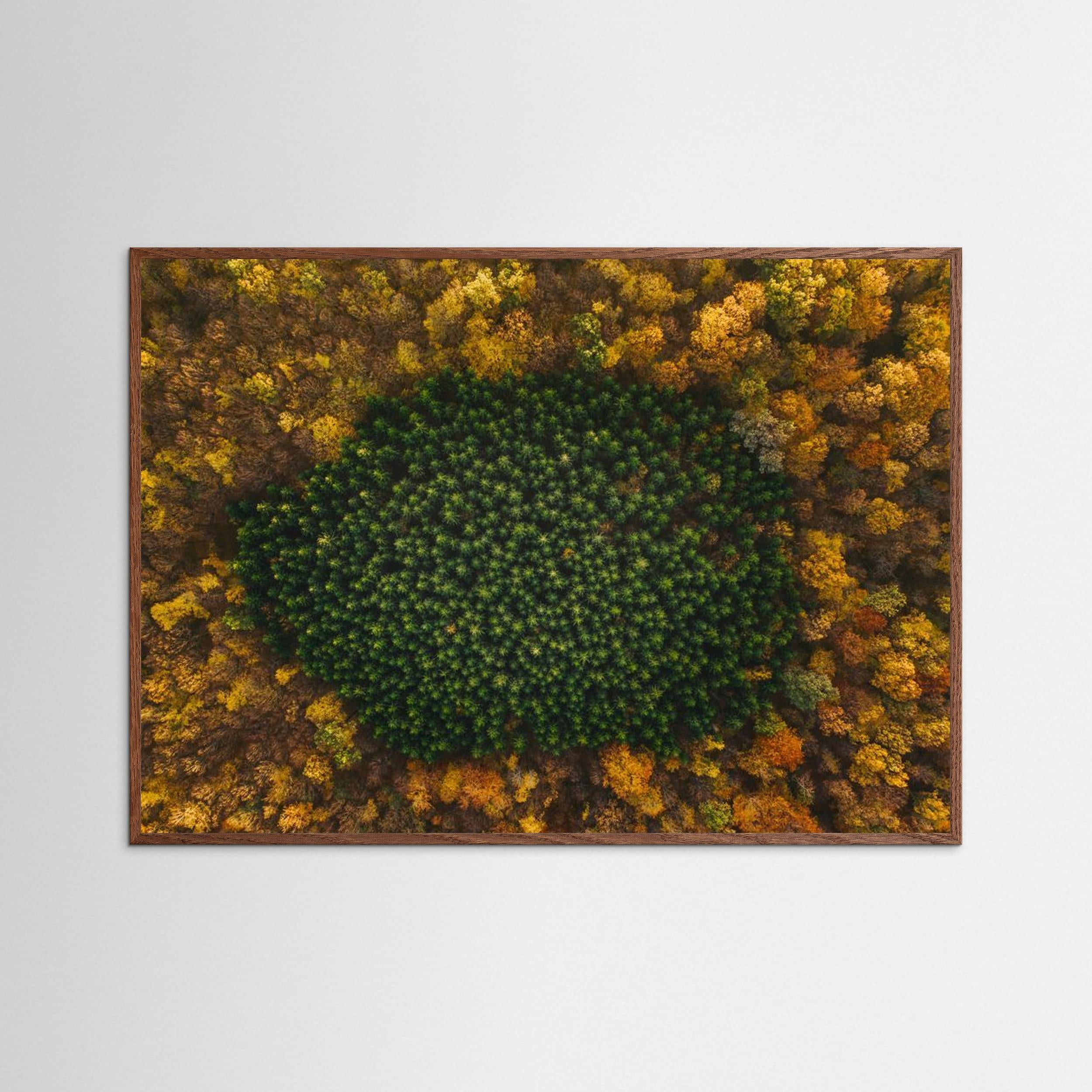 Nature by Angyalosi Beáta