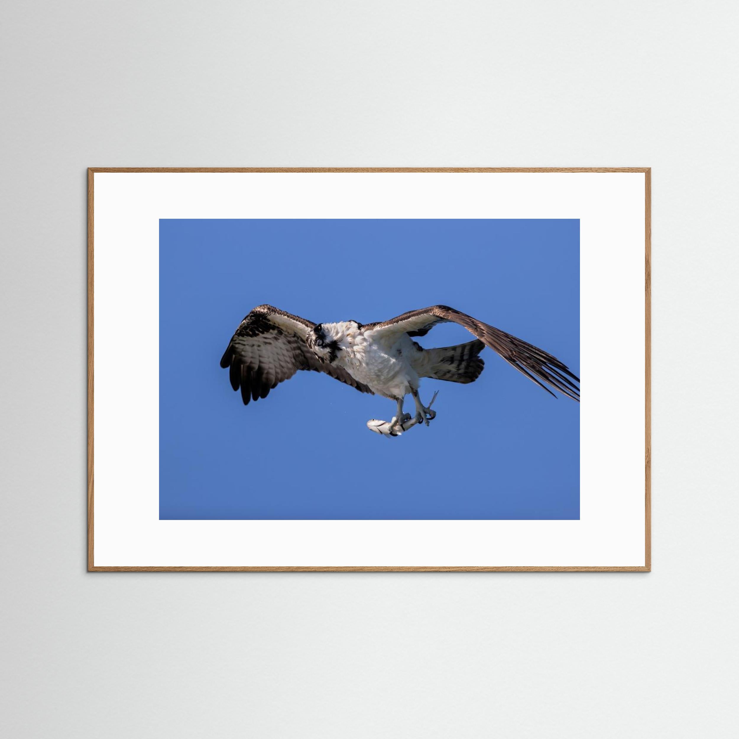 Shaking Water by Jun Zuo