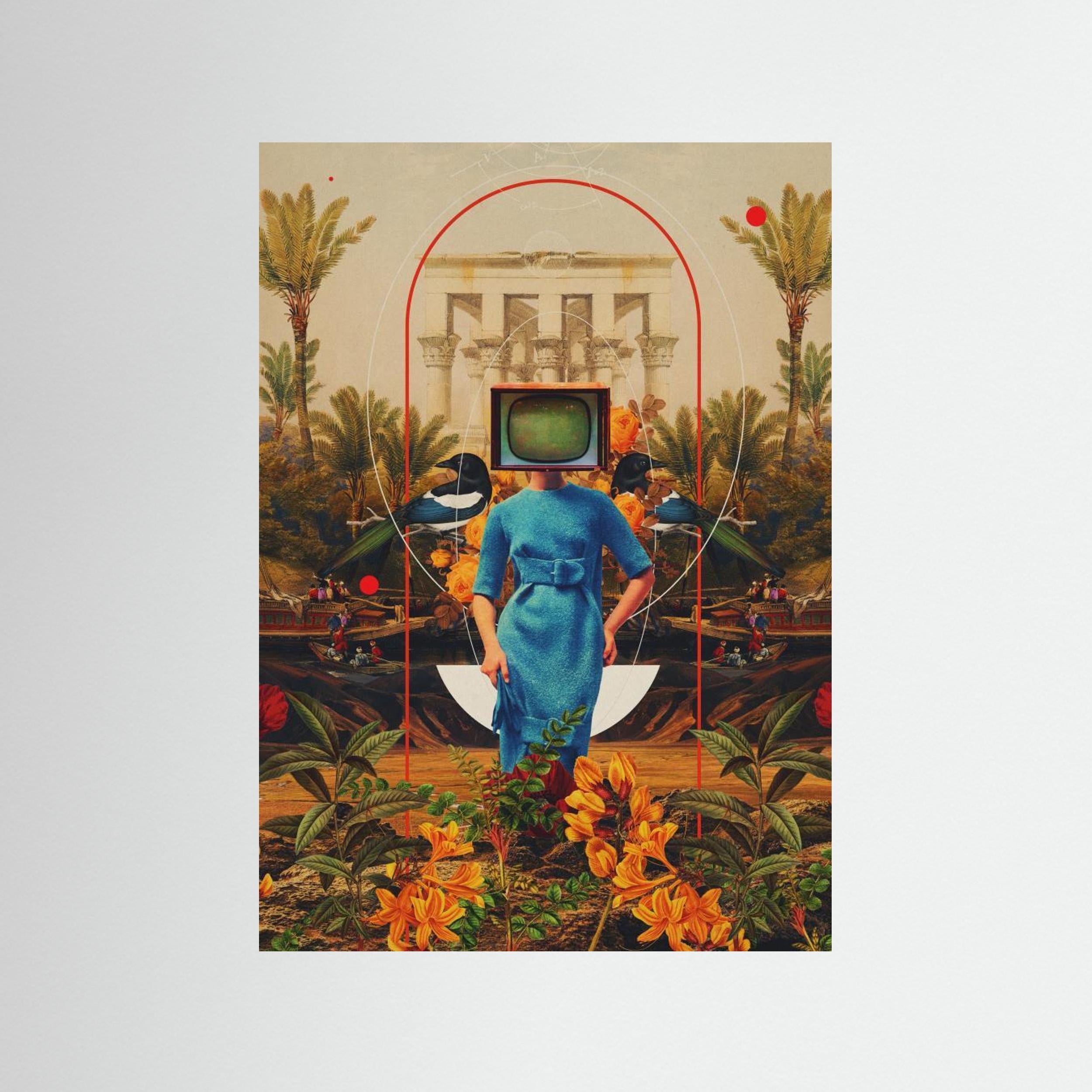 Her Asymmetries by Frank Moth