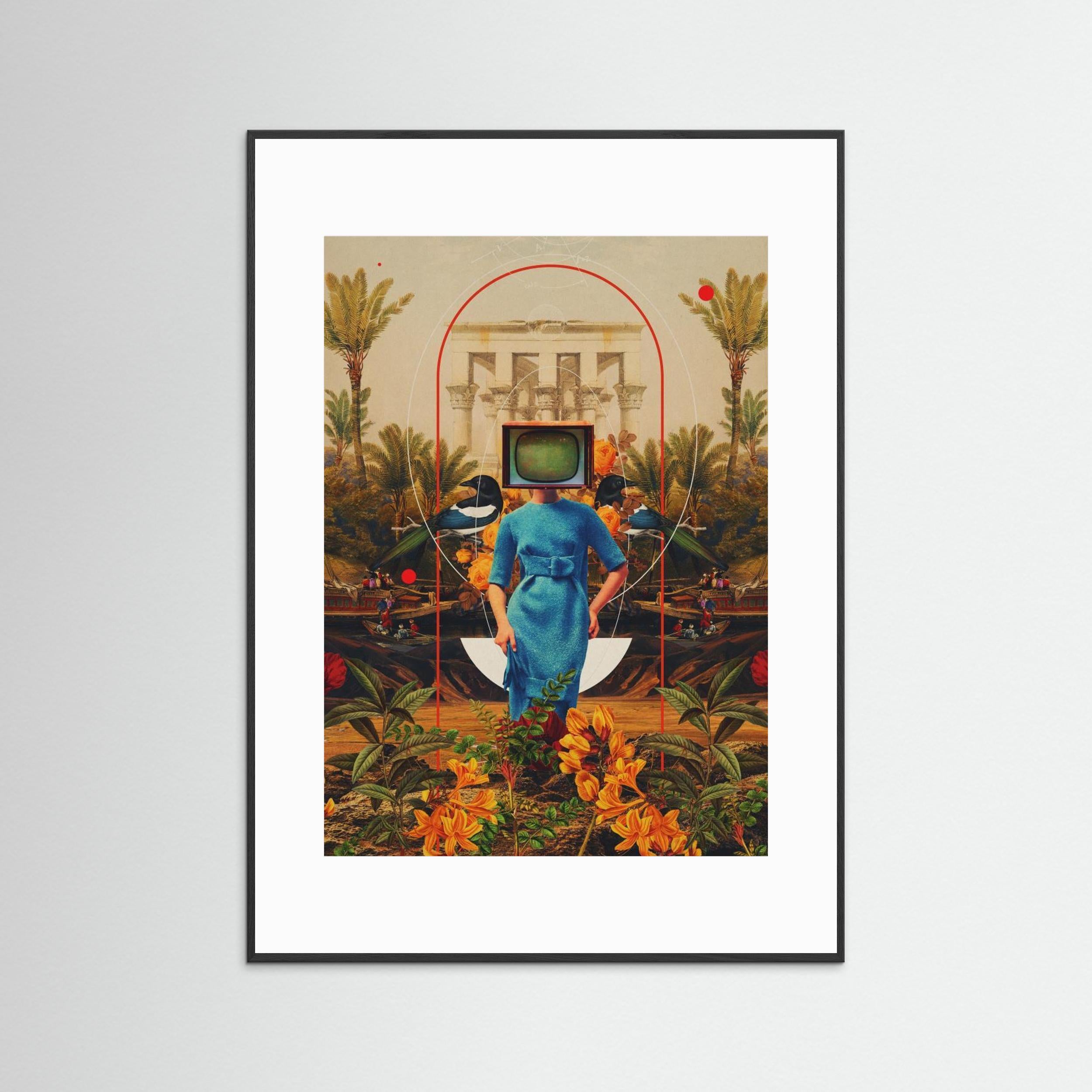 Her Asymmetries by Frank Moth