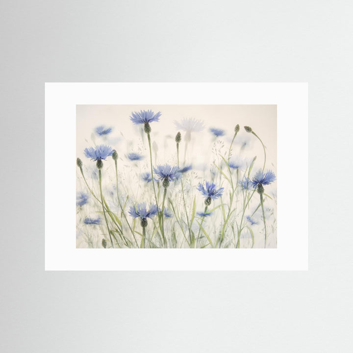Cornflowers by Nel Talen