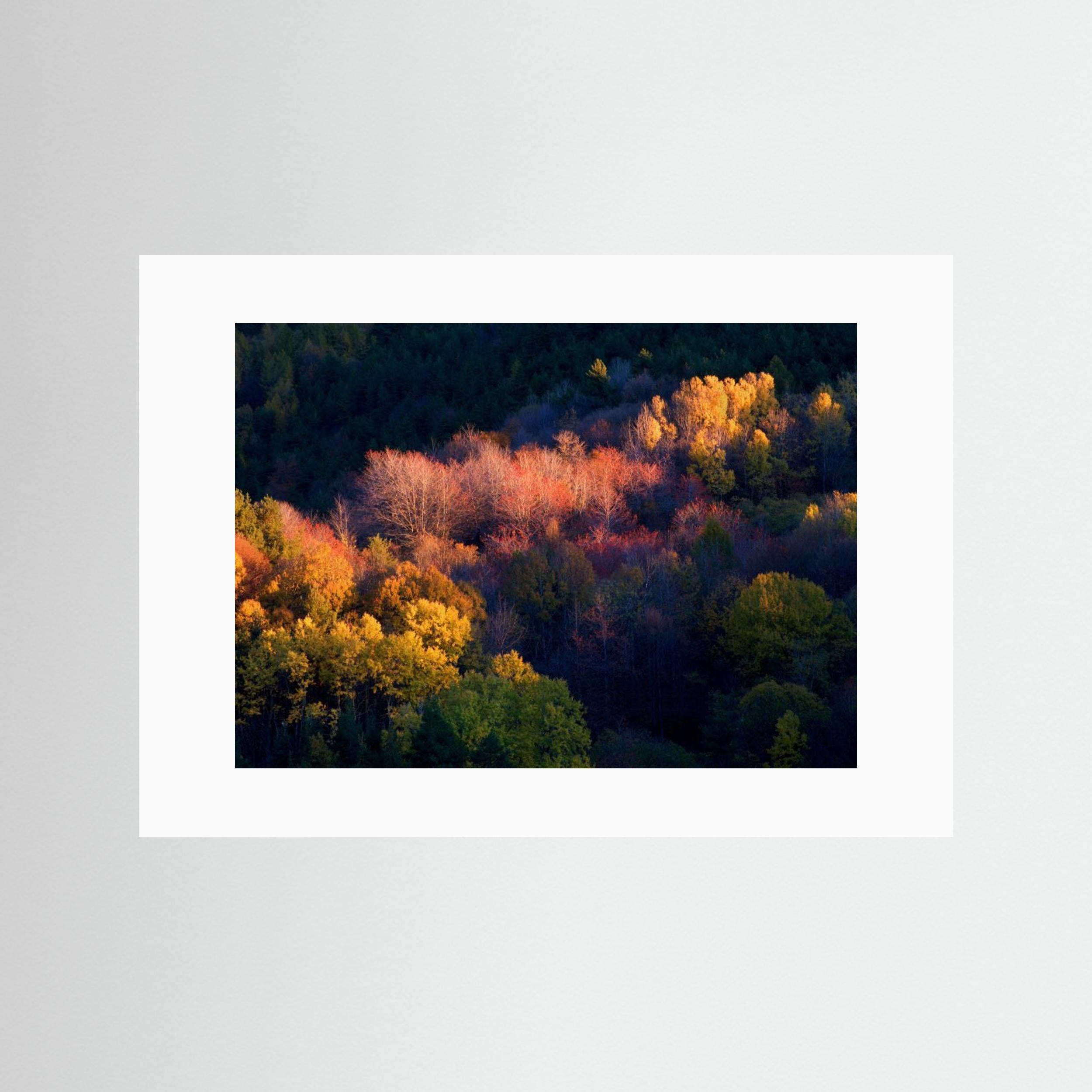 Colors by Paolo Bolla