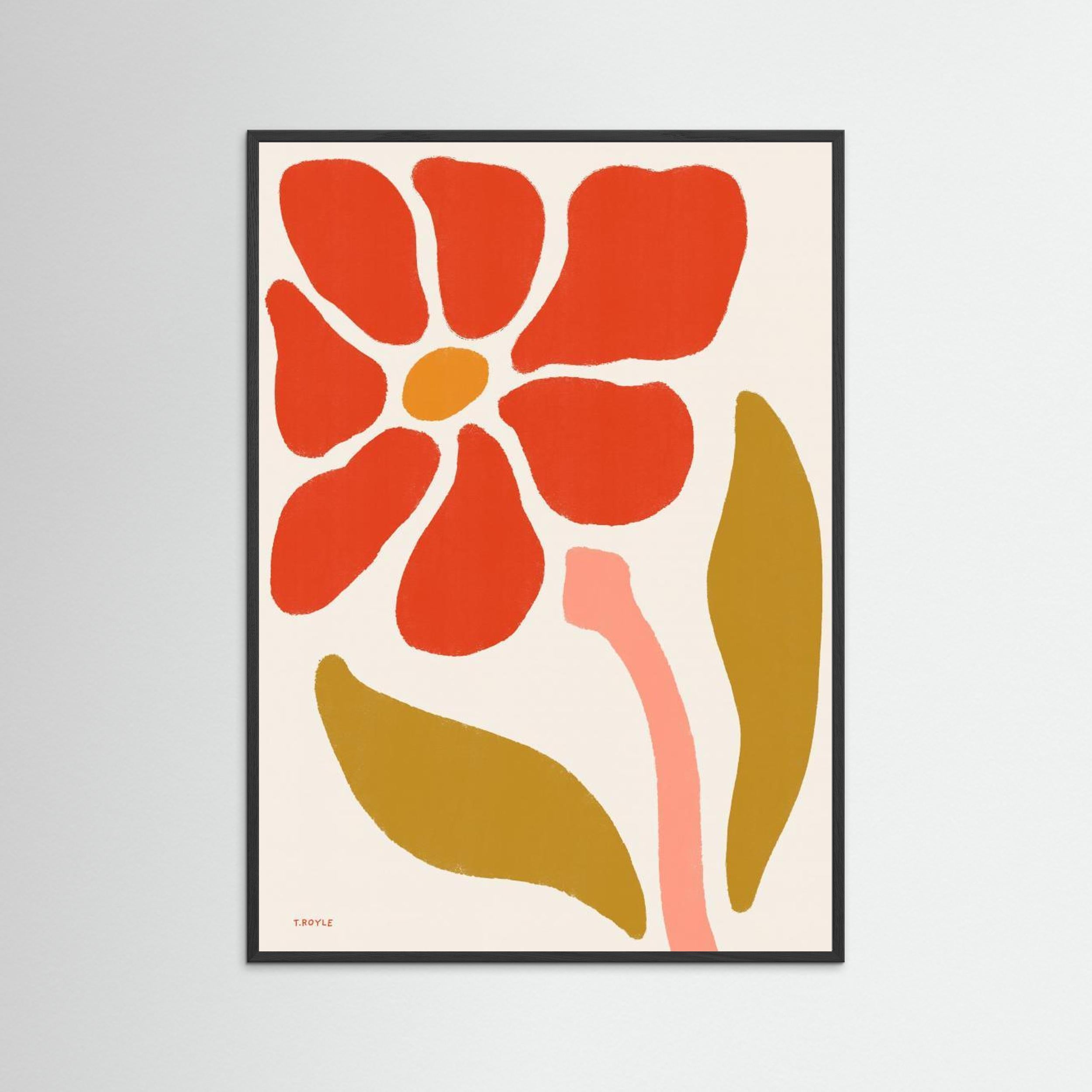 Daisy Flower by Tara Royle