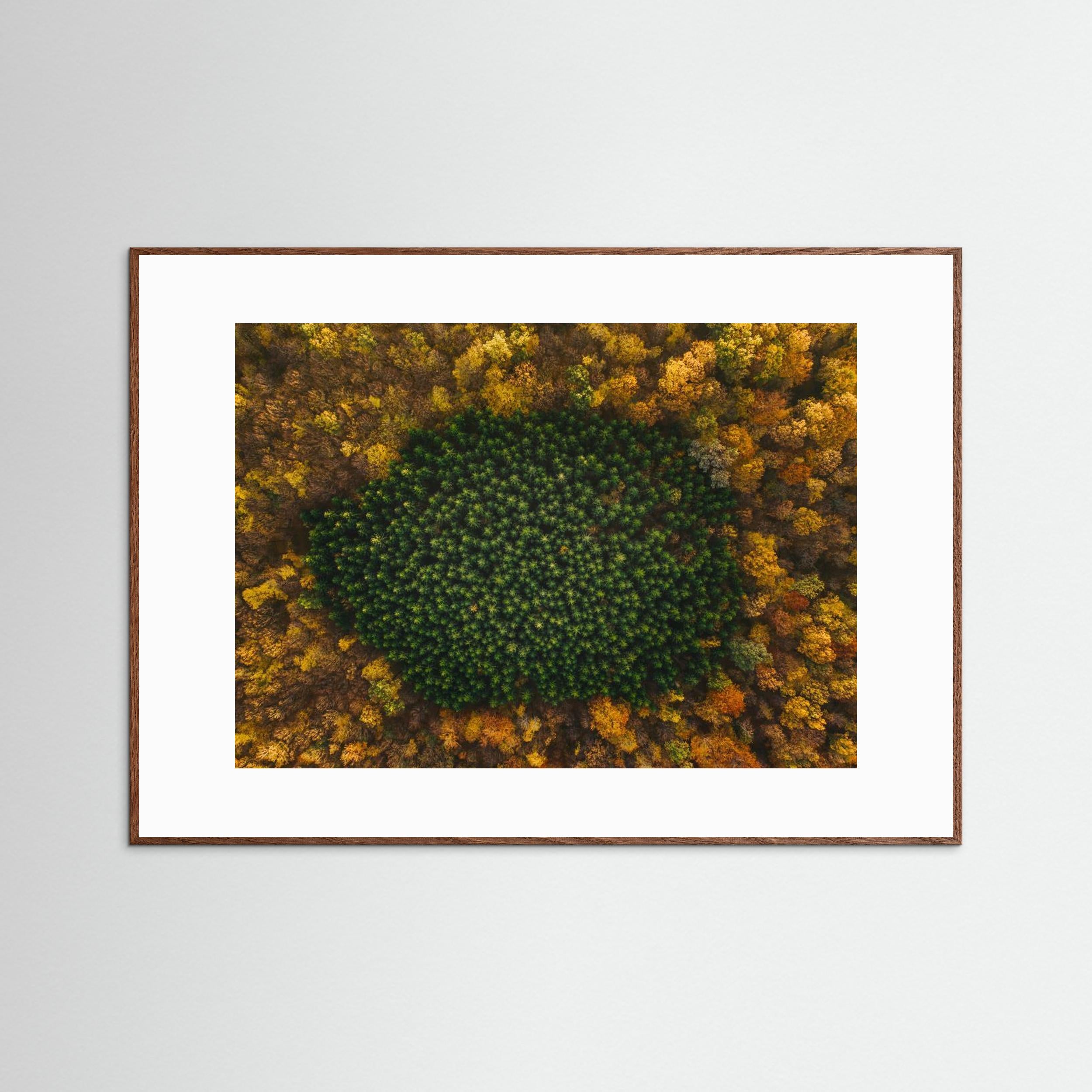 Nature by Angyalosi Beáta