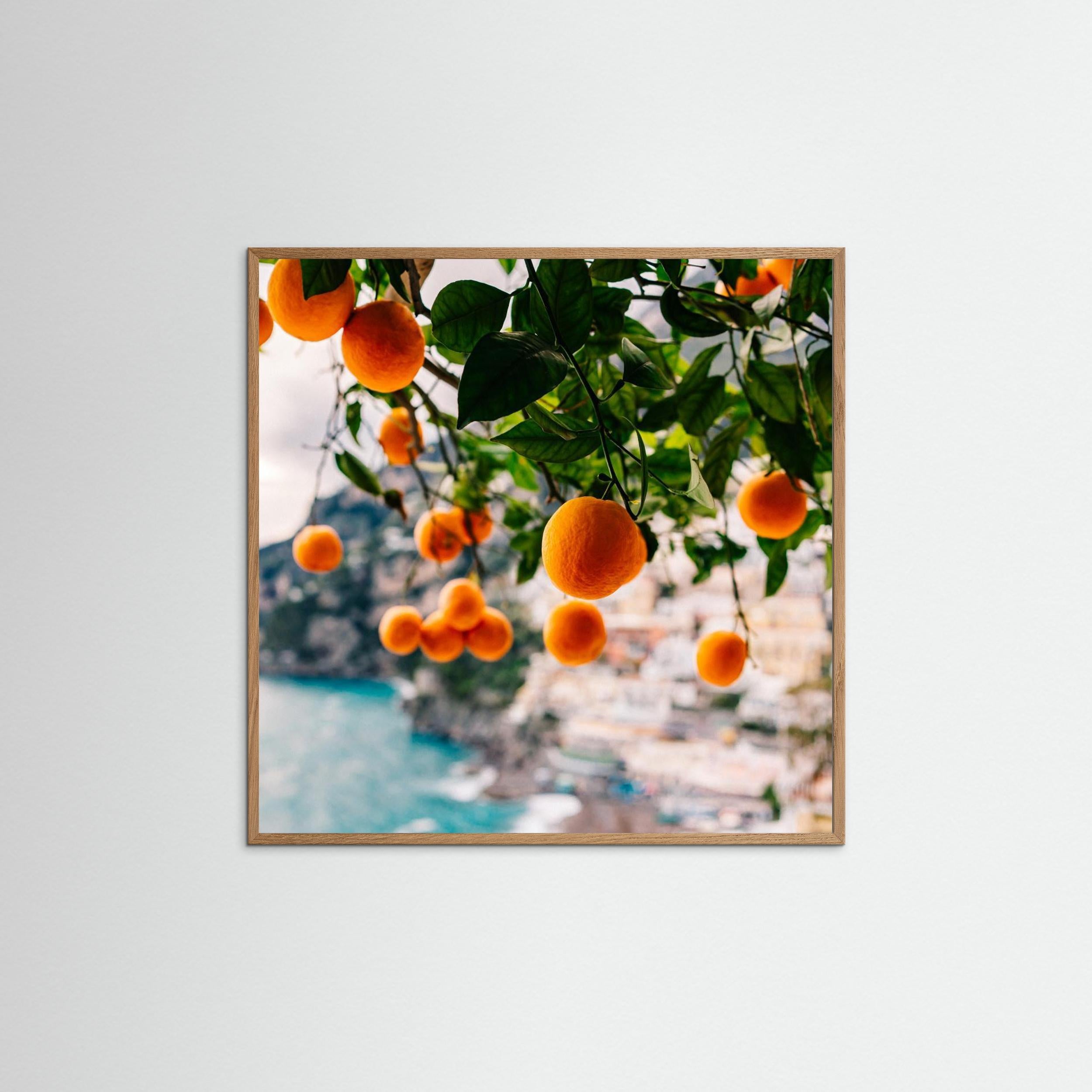 Amalfi Coast Oranges by Bethany Young
