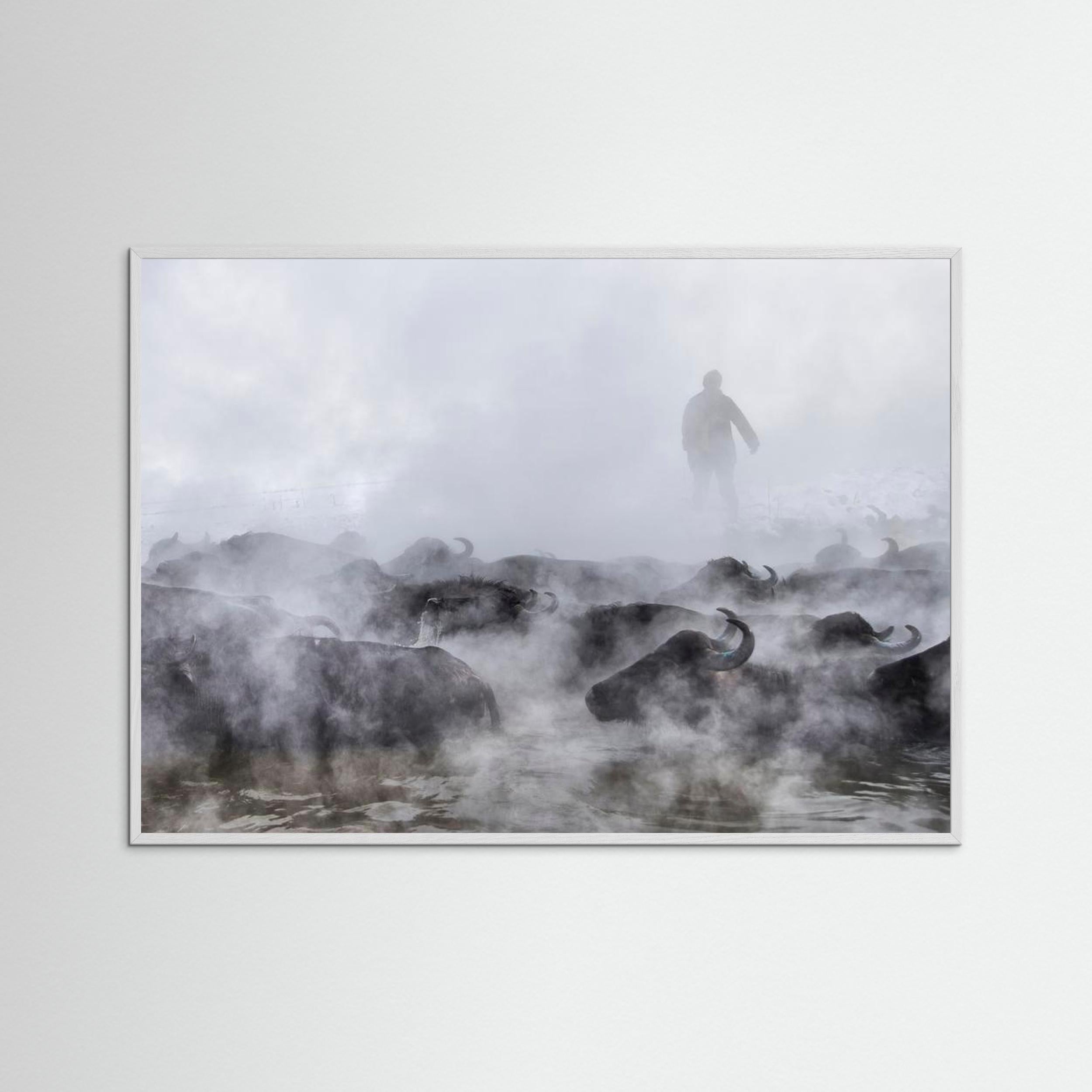 Wild Life by Ferhat Gursu