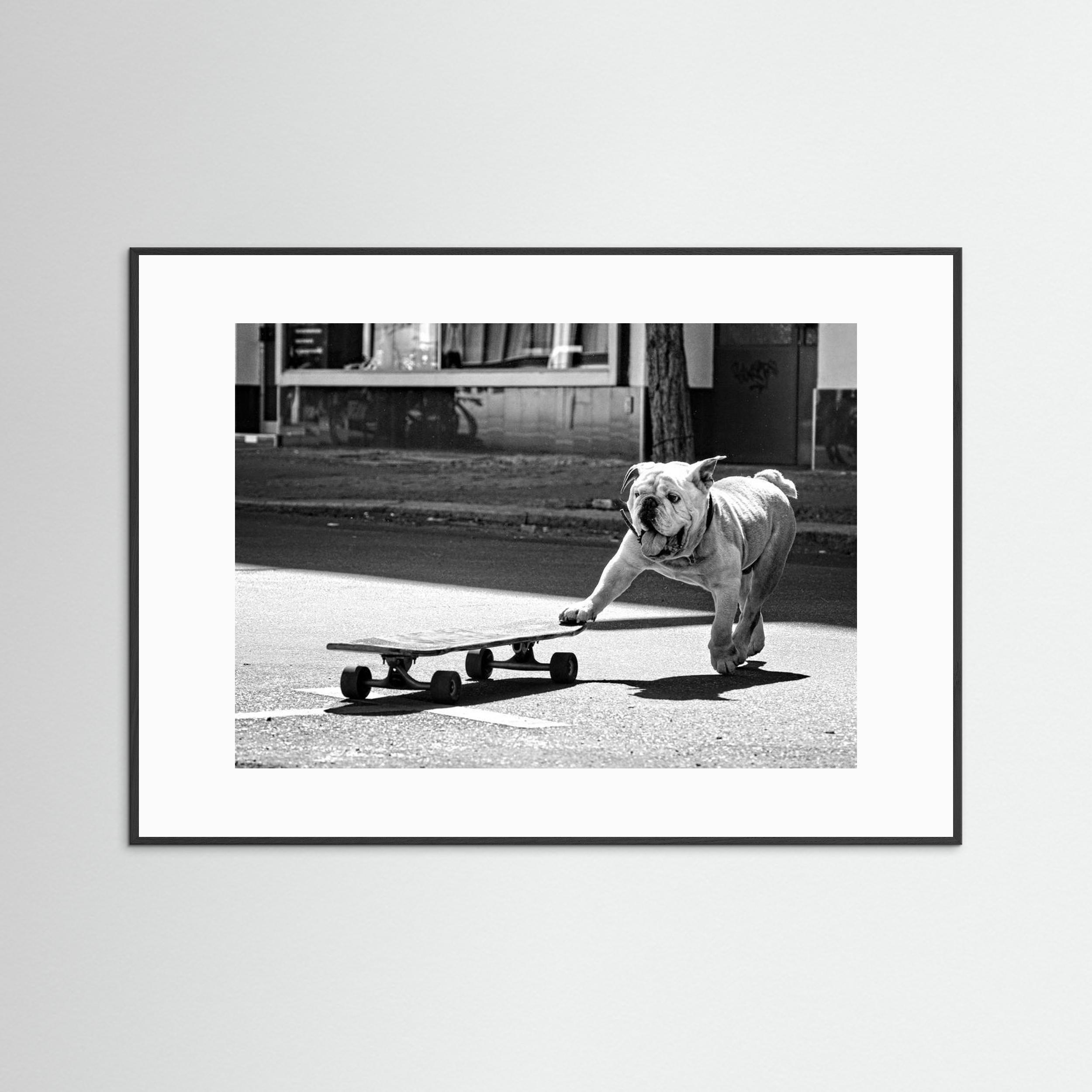 ... dogs just want to have fun ... by Claudia Leverentz