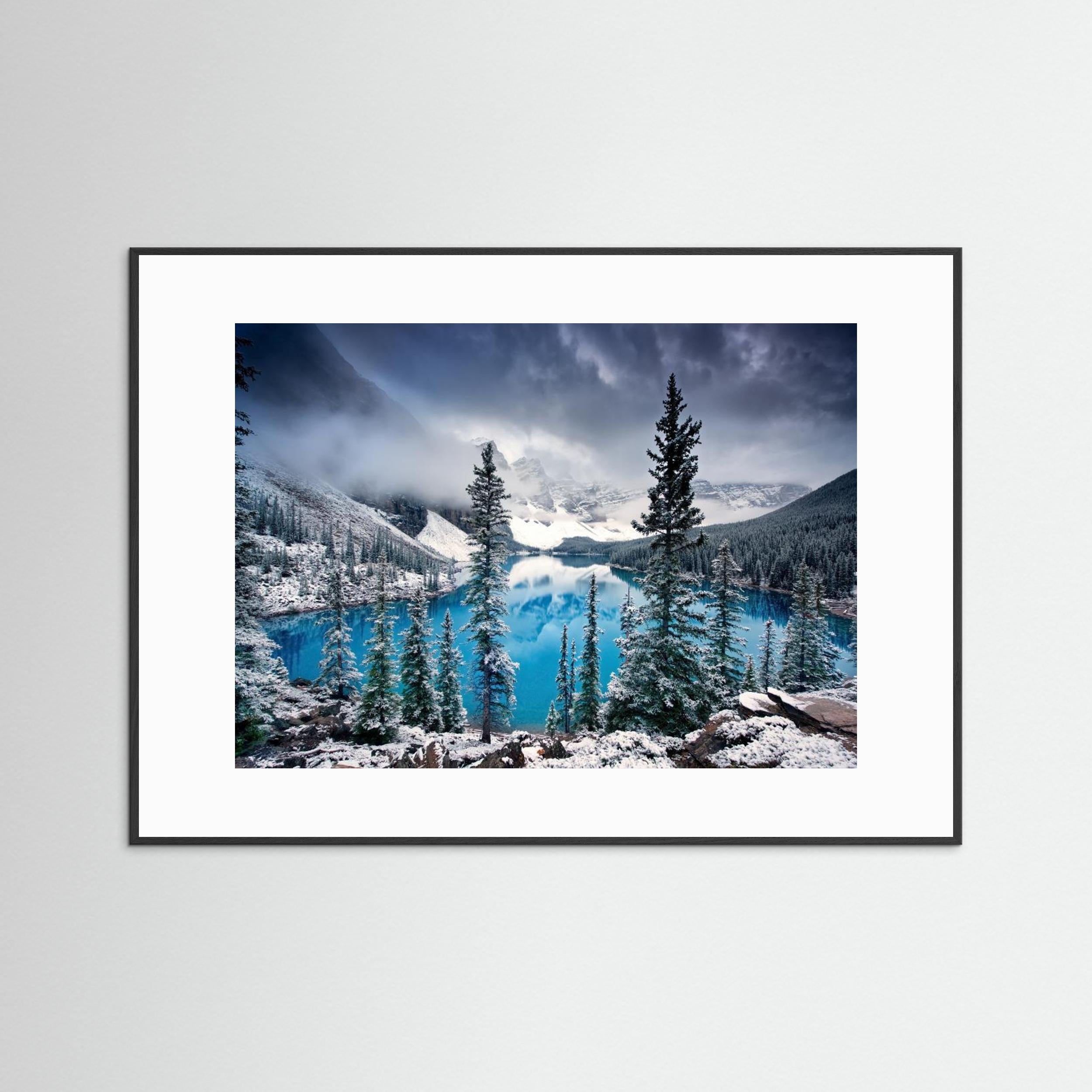 Morning blues by Trevor Cole