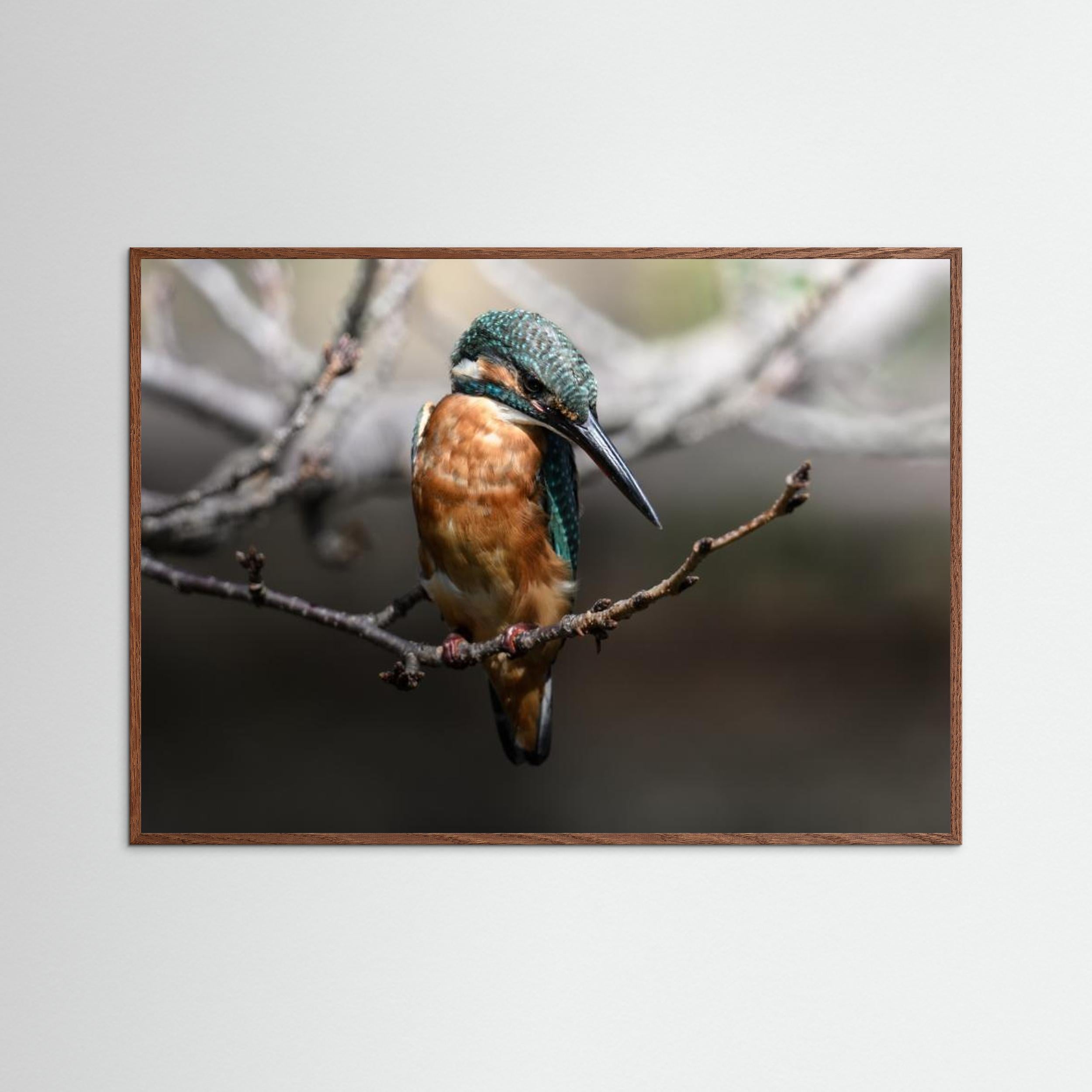 Beautiful Wildlife by Seiichi Tsuboya