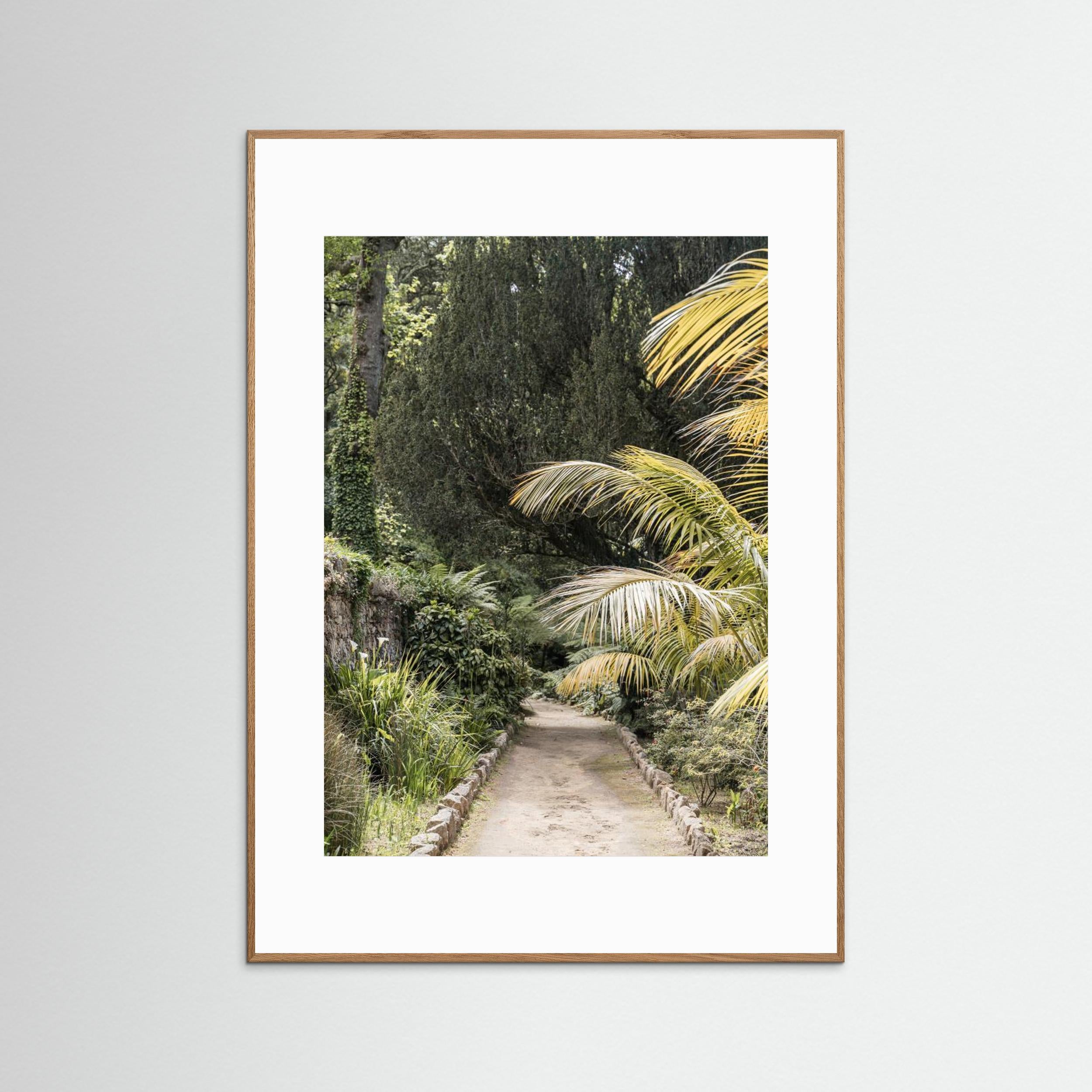 Tropical Walk by Henrike Schenk