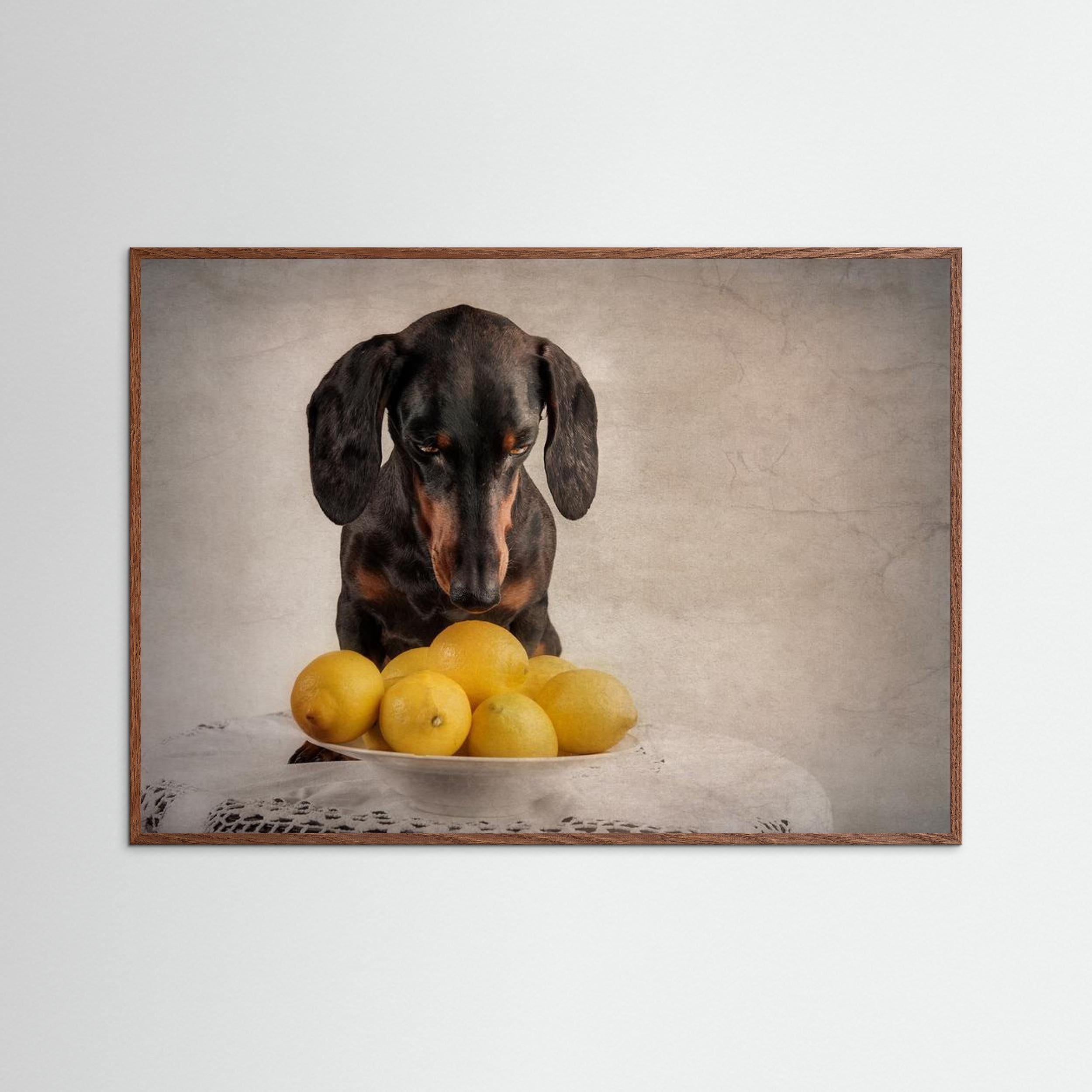 When Life Gives You Lemons... by Heike Willers