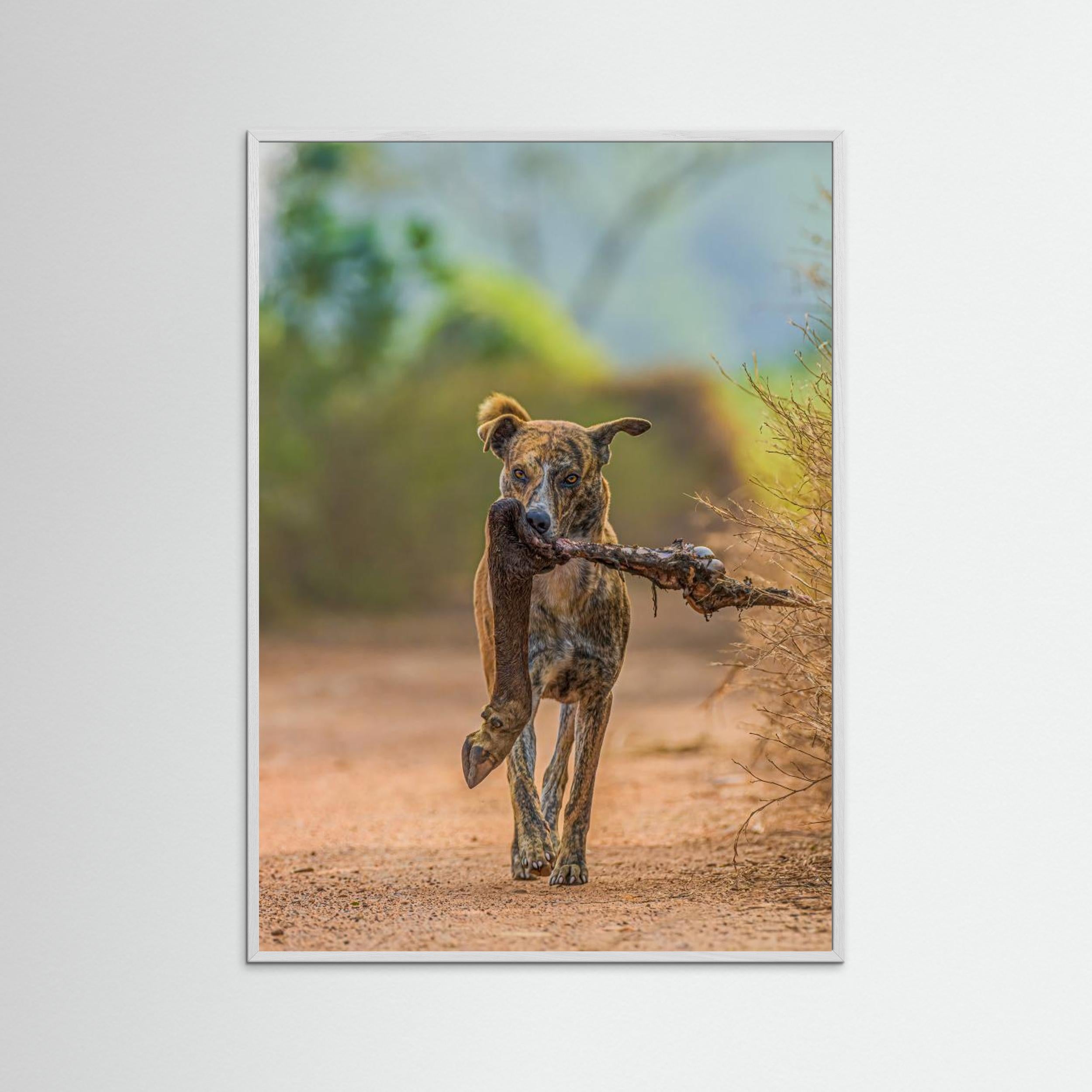 Party with leg piece by Susavan Aditya