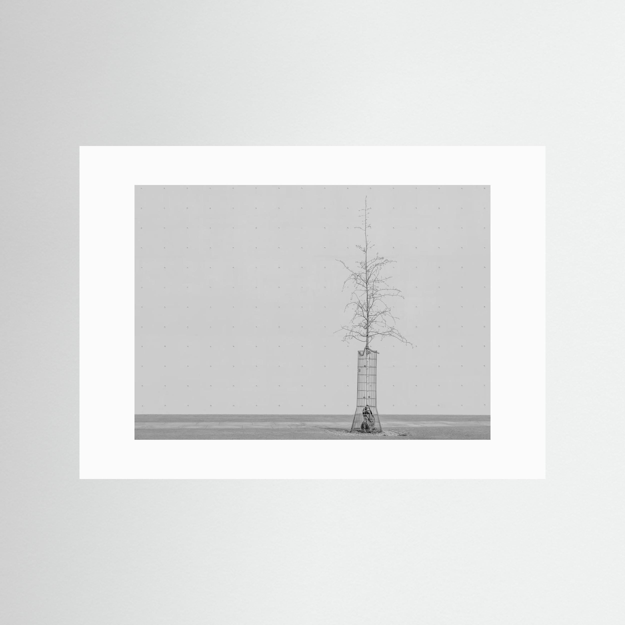 the tree by Klaus Lenzen