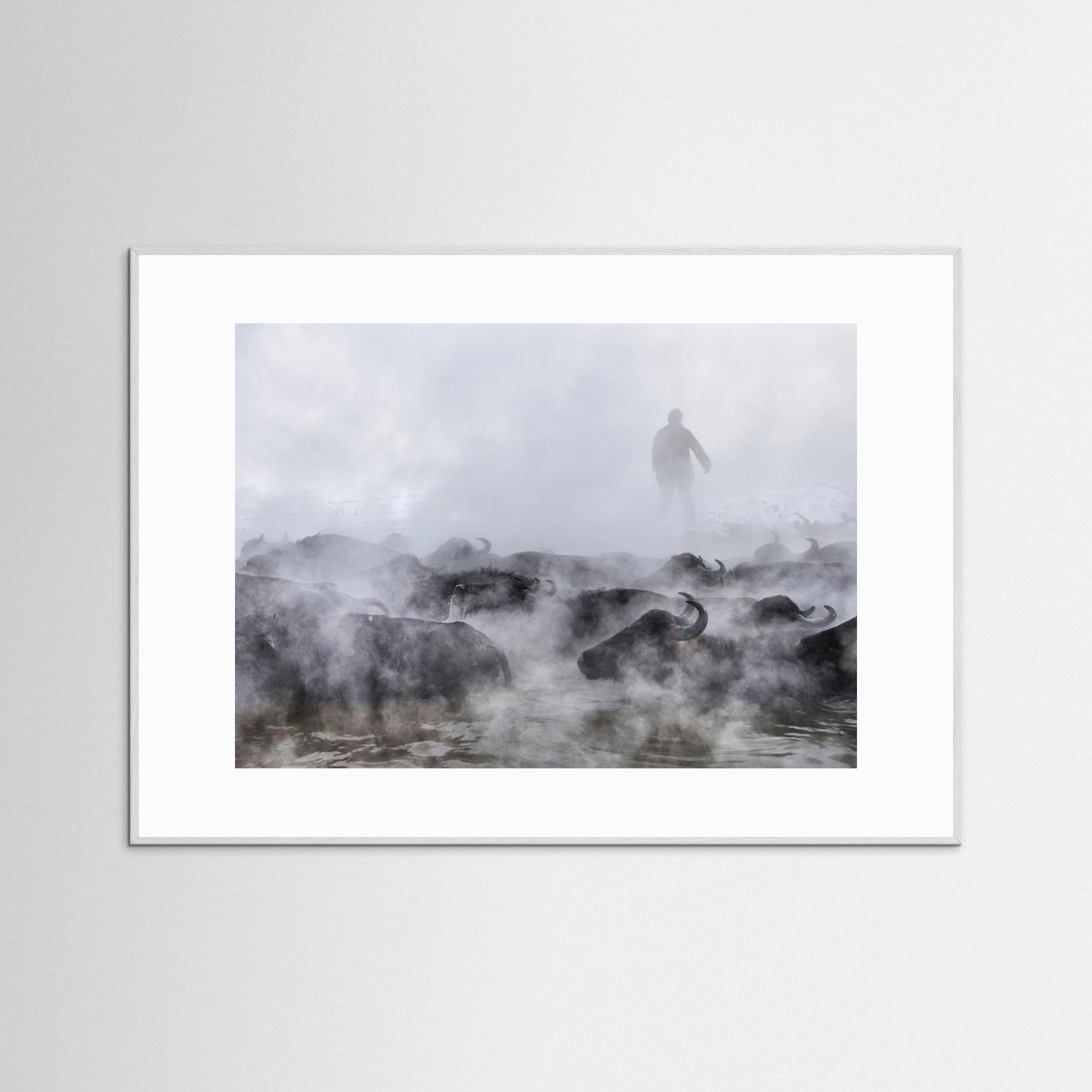 Wild Life by Ferhat Gursu