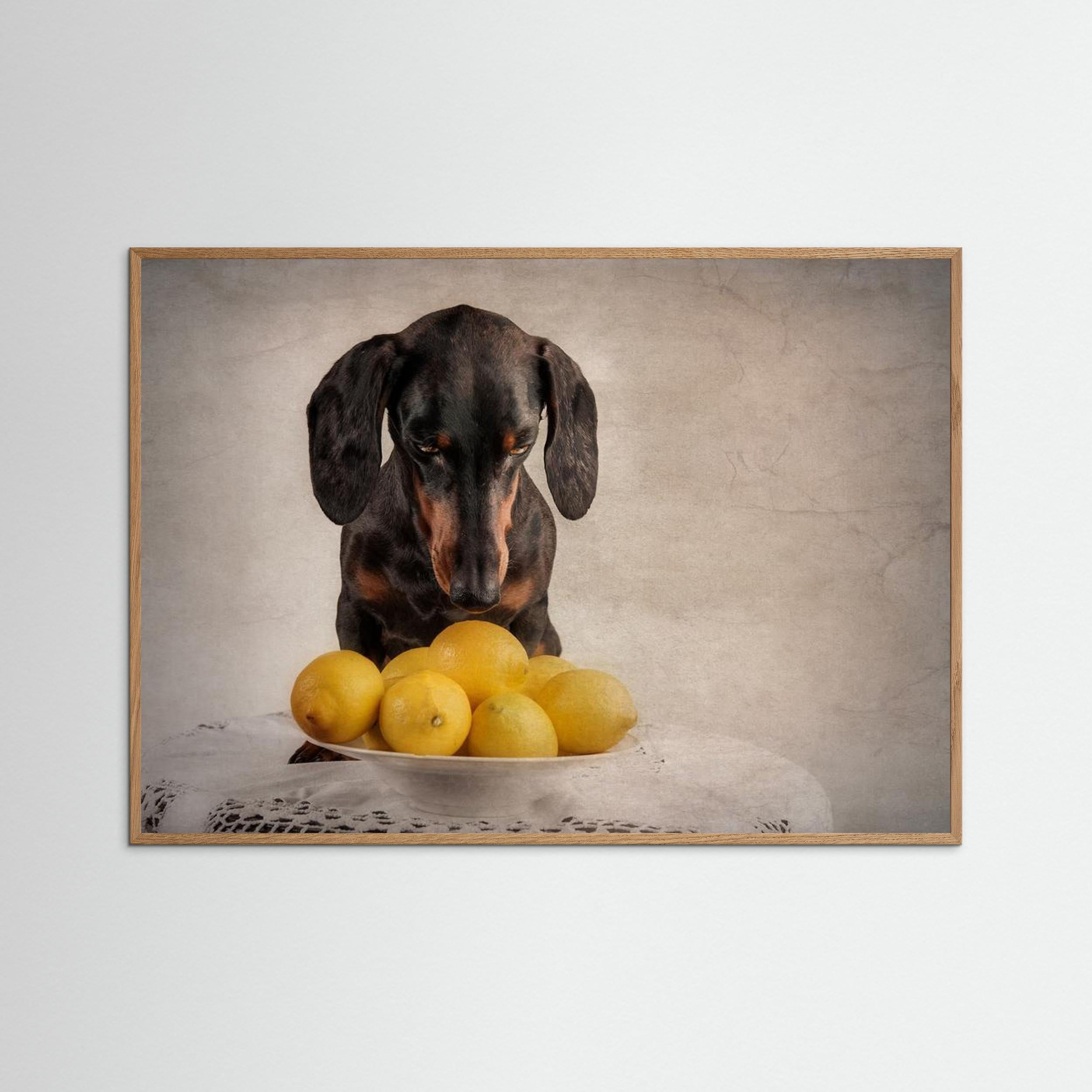 When Life Gives You Lemons... by Heike Willers