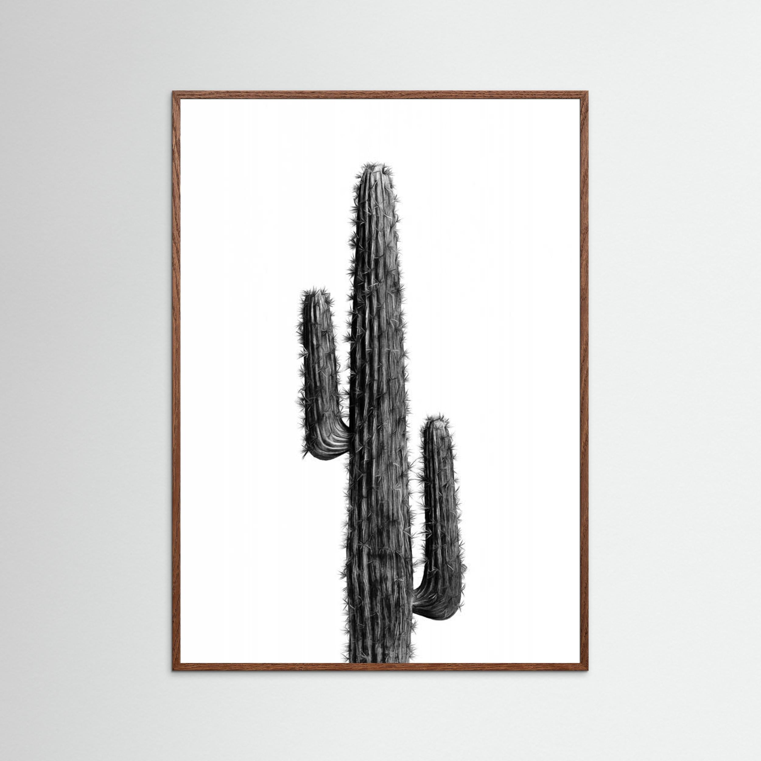 Cactus Black and White 01 by Amini54