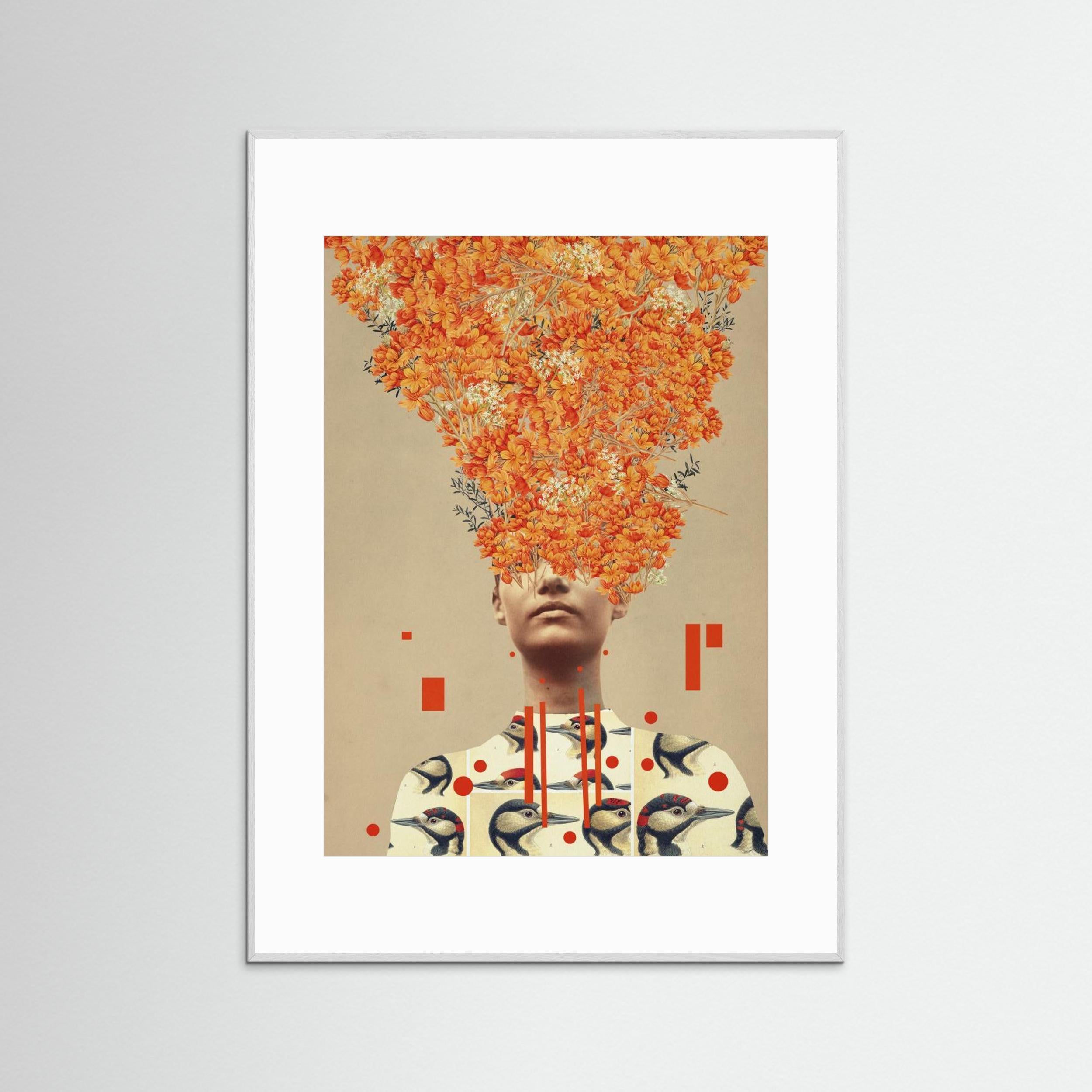 Bird Flight In Autumn by Frank Moth