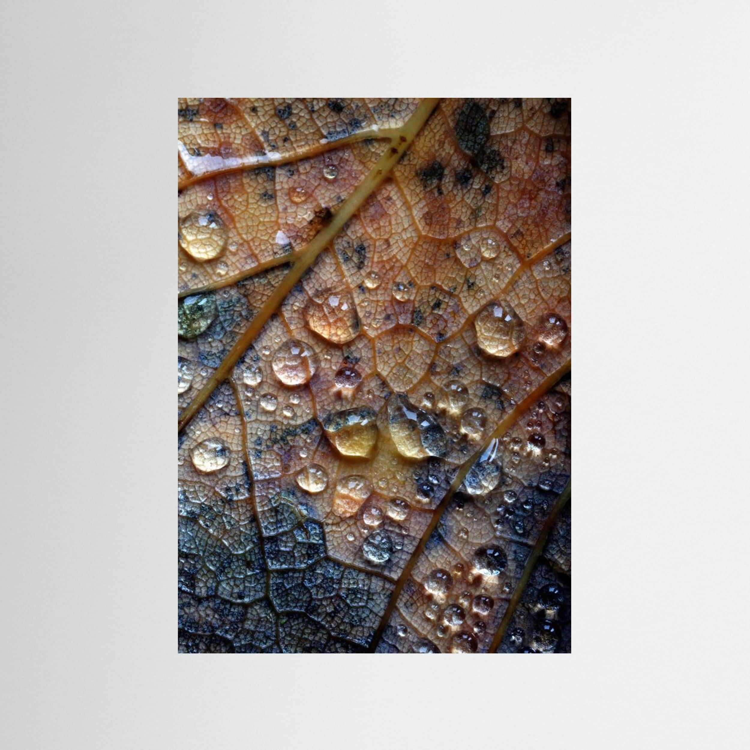 Nature's Tears by David Mc Cracken