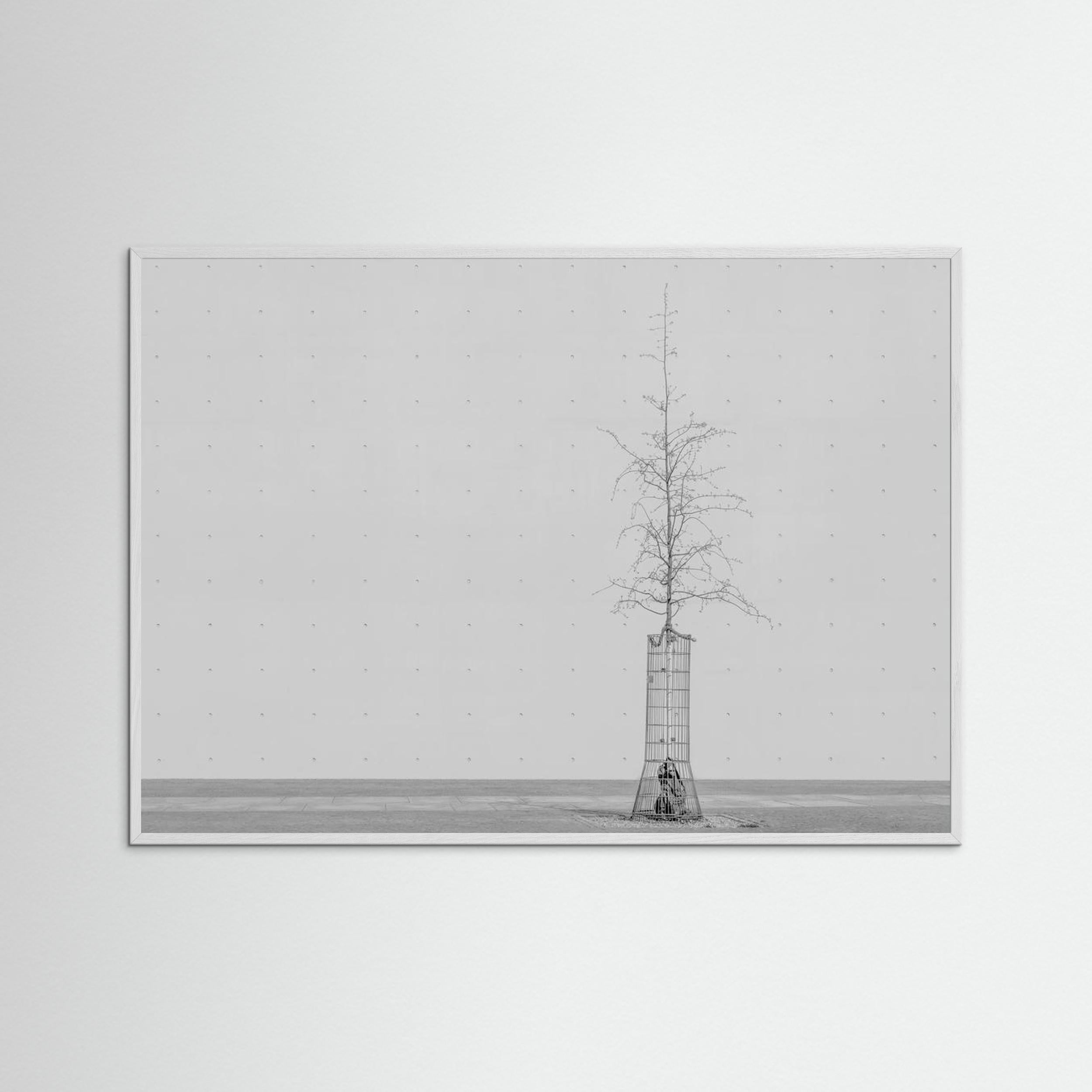 the tree by Klaus Lenzen