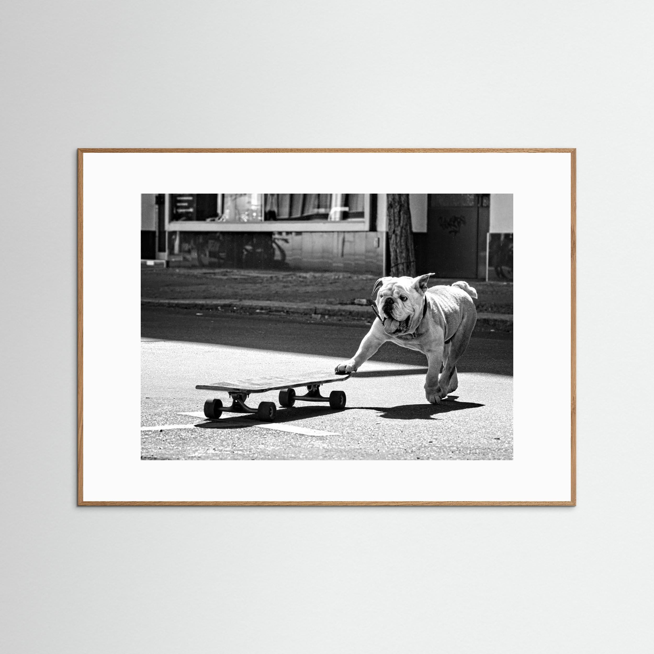 ... dogs just want to have fun ... by Claudia Leverentz