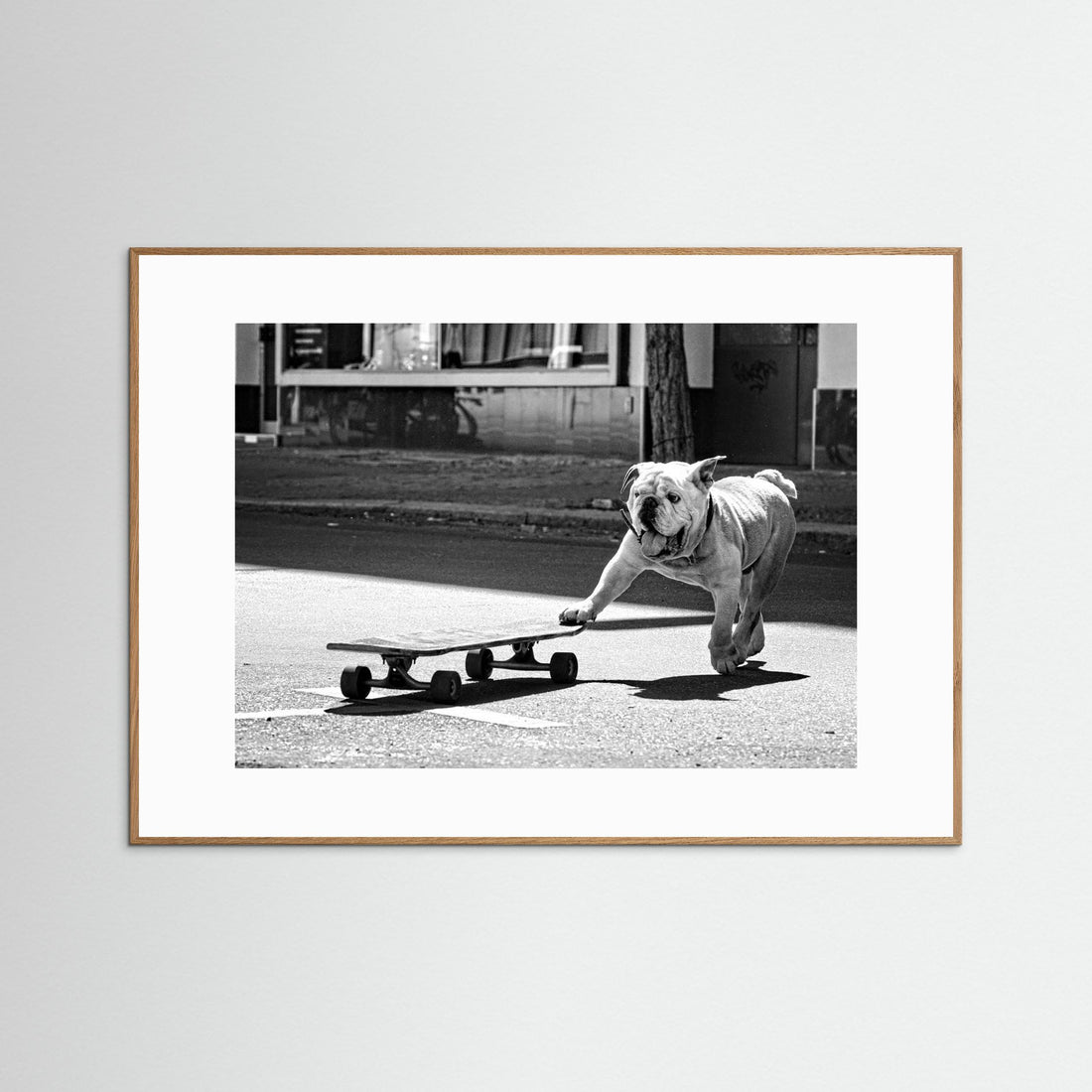 ... dogs just want to have fun ... by Claudia Leverentz