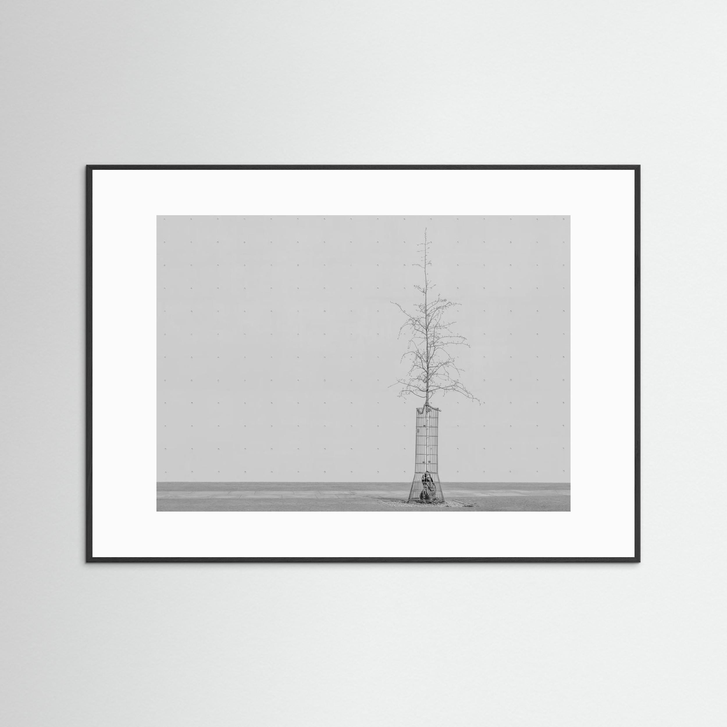 the tree by Klaus Lenzen