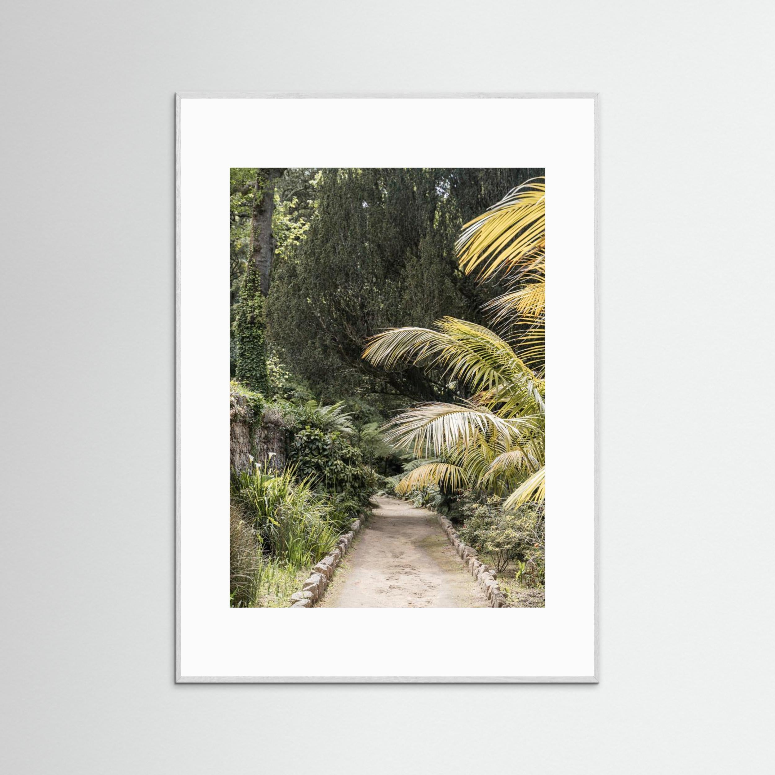 Tropical Walk by Henrike Schenk