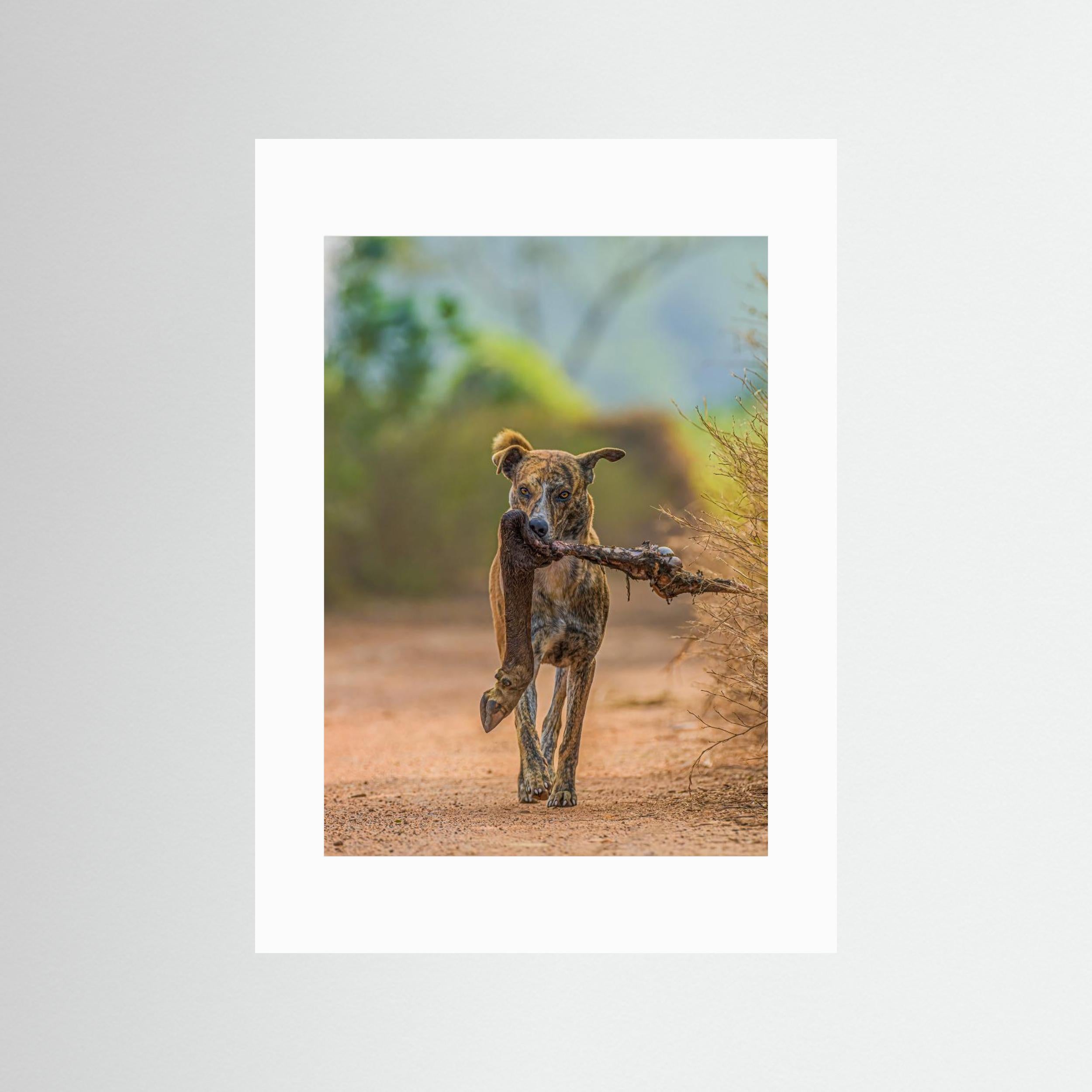 Party with leg piece by Susavan Aditya