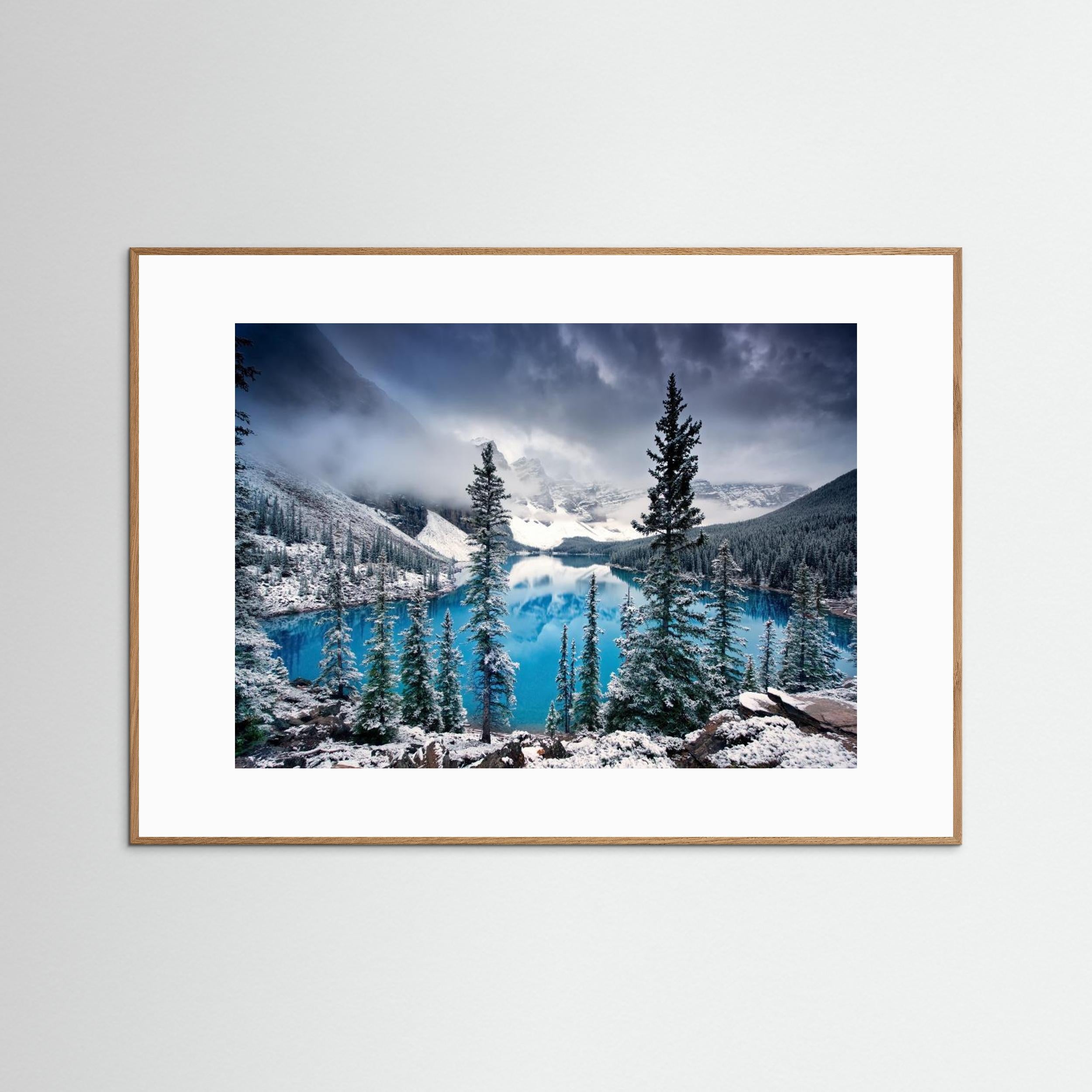 Morning blues by Trevor Cole