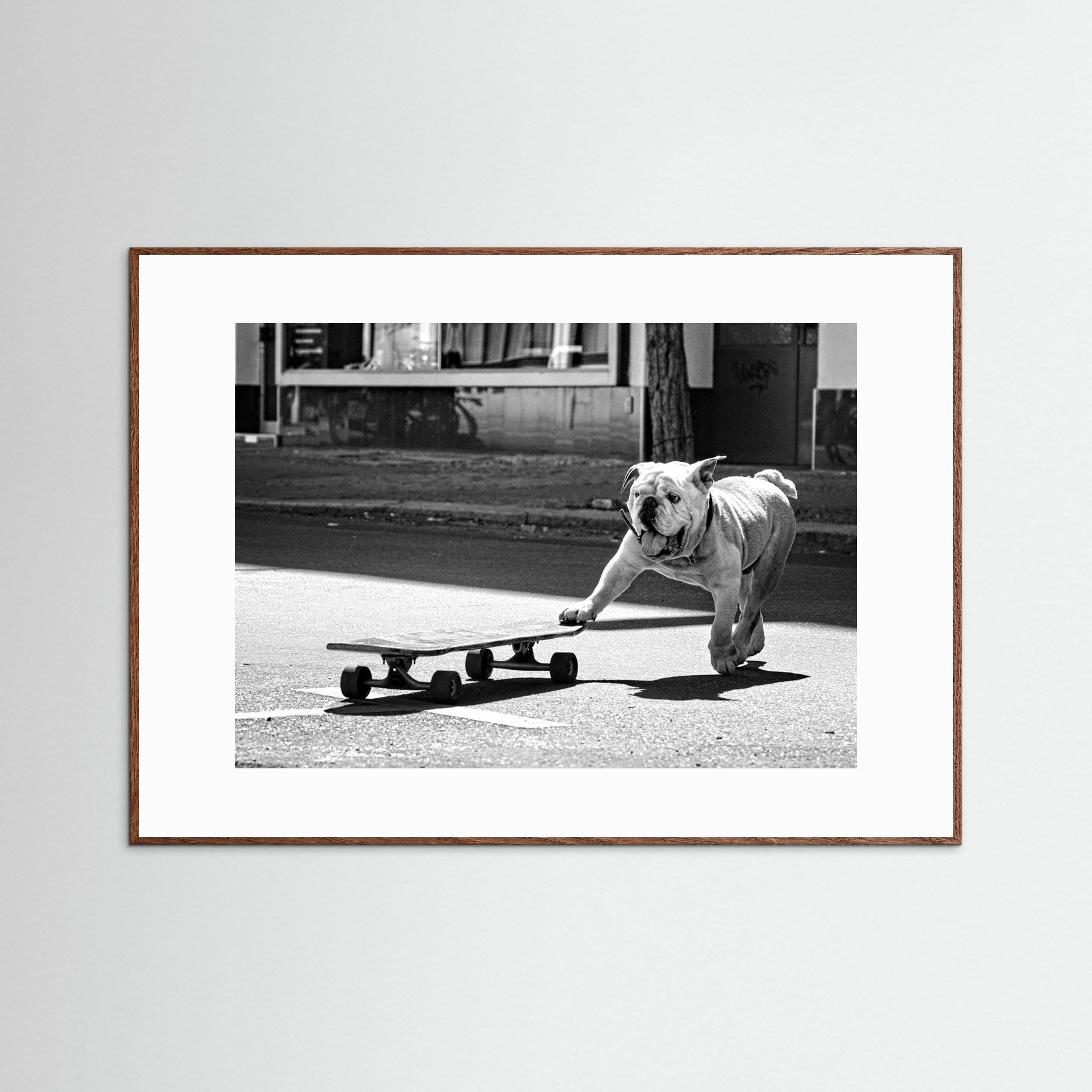 ... dogs just want to have fun ... by Claudia Leverentz