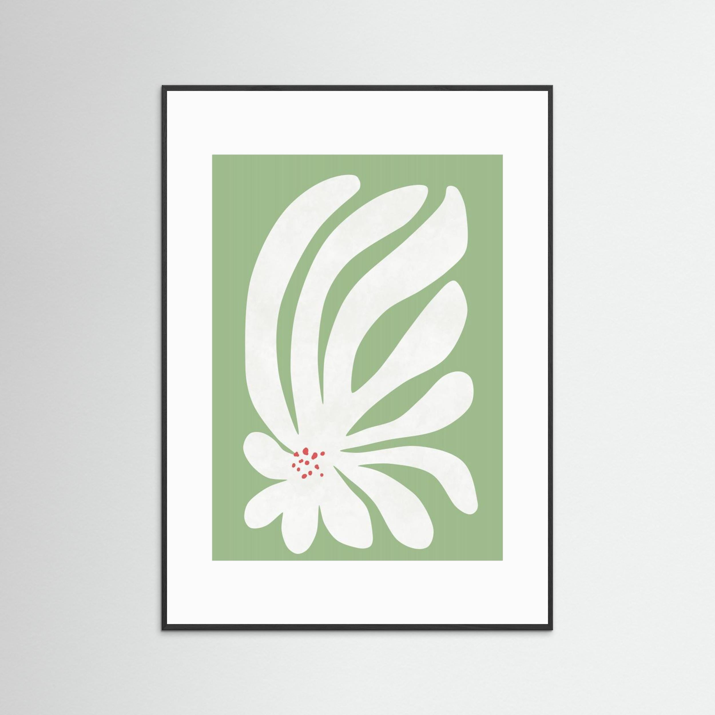 White Chrysanthemum Flower by Amini54