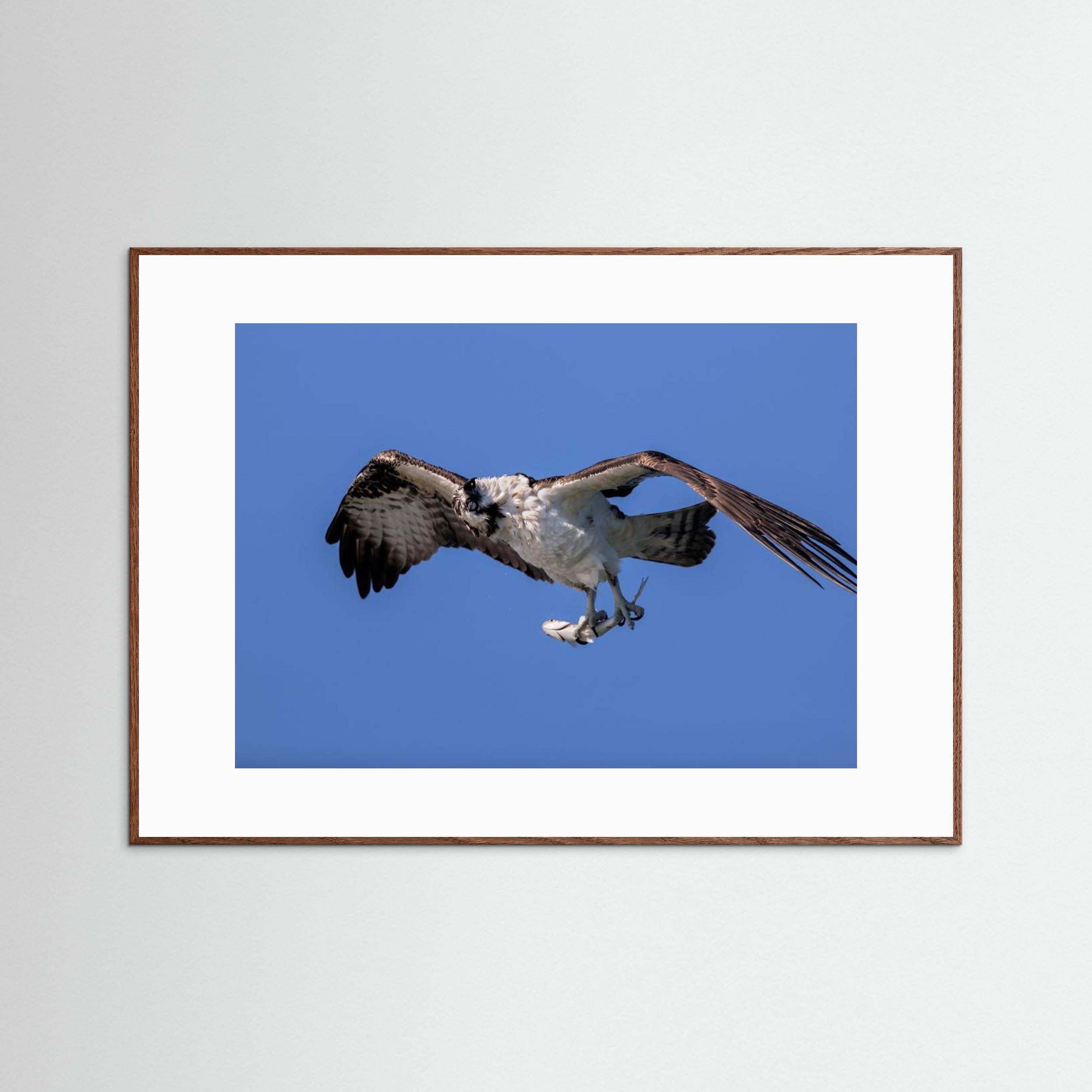 Shaking Water by Jun Zuo