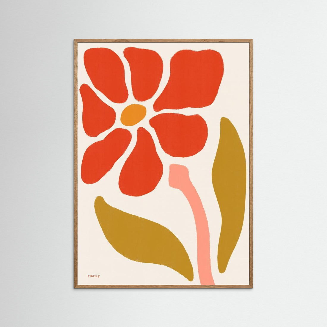 Daisy Flower by Tara Royle
