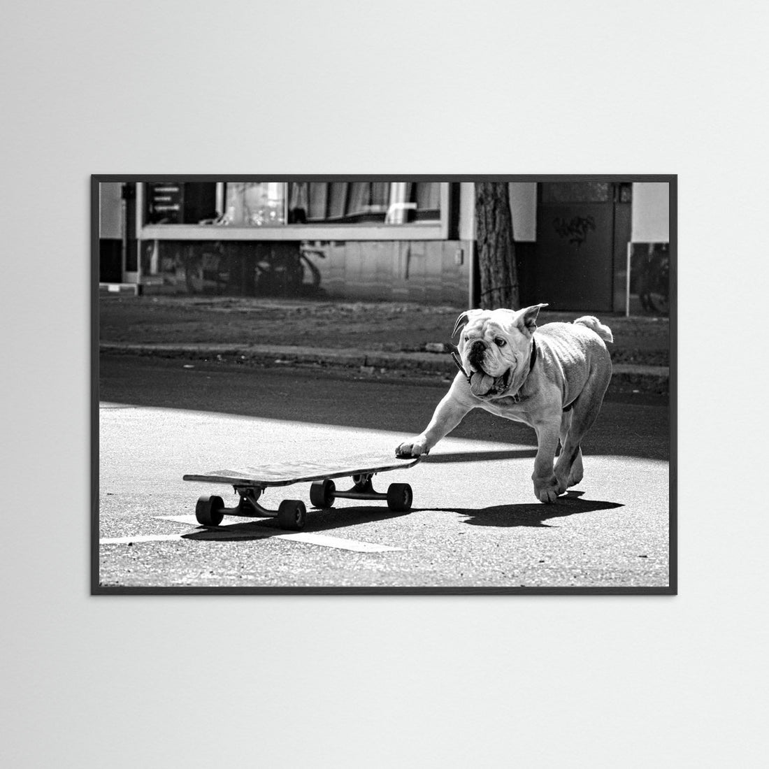 ... dogs just want to have fun ... by Claudia Leverentz