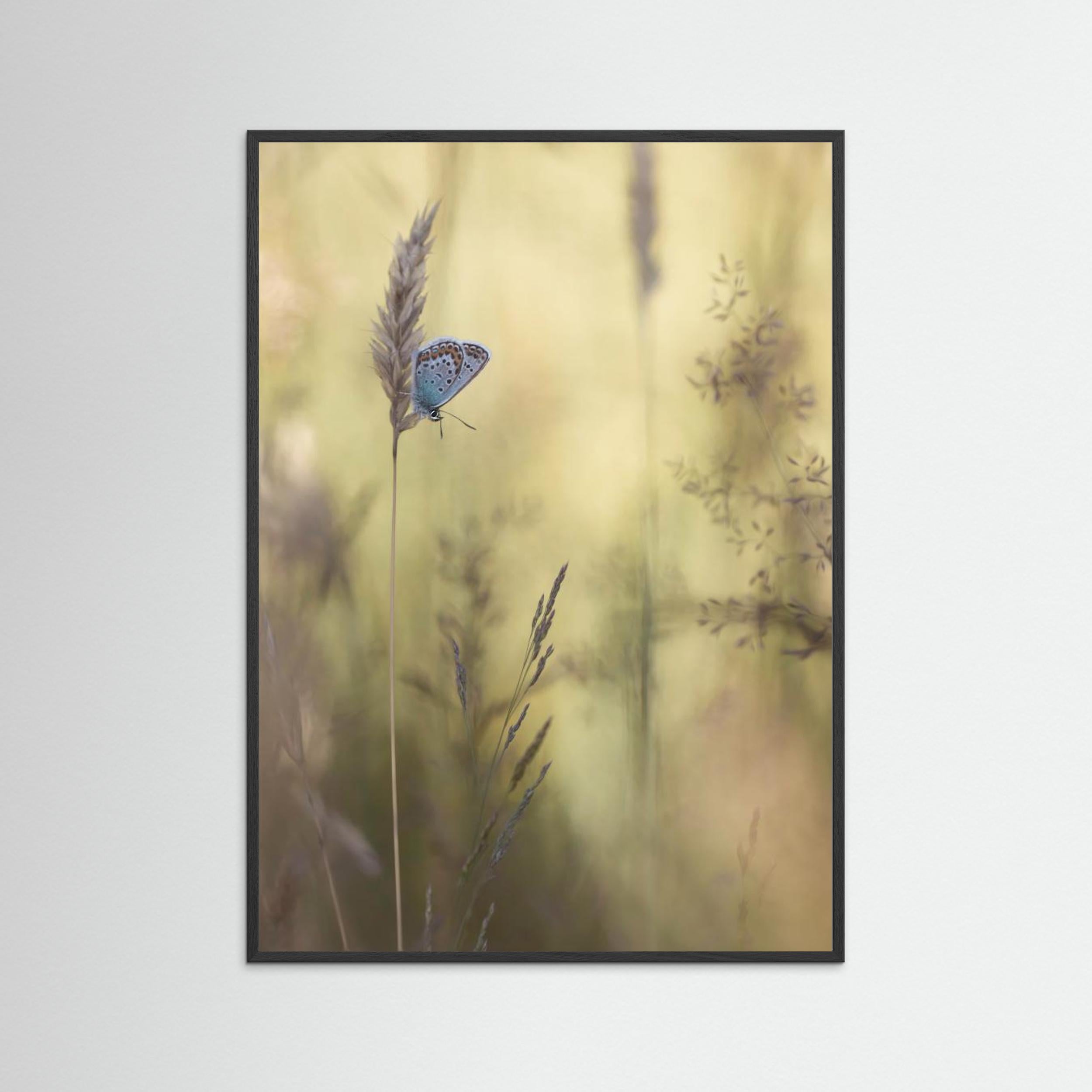 Colorful by Daan De Vos