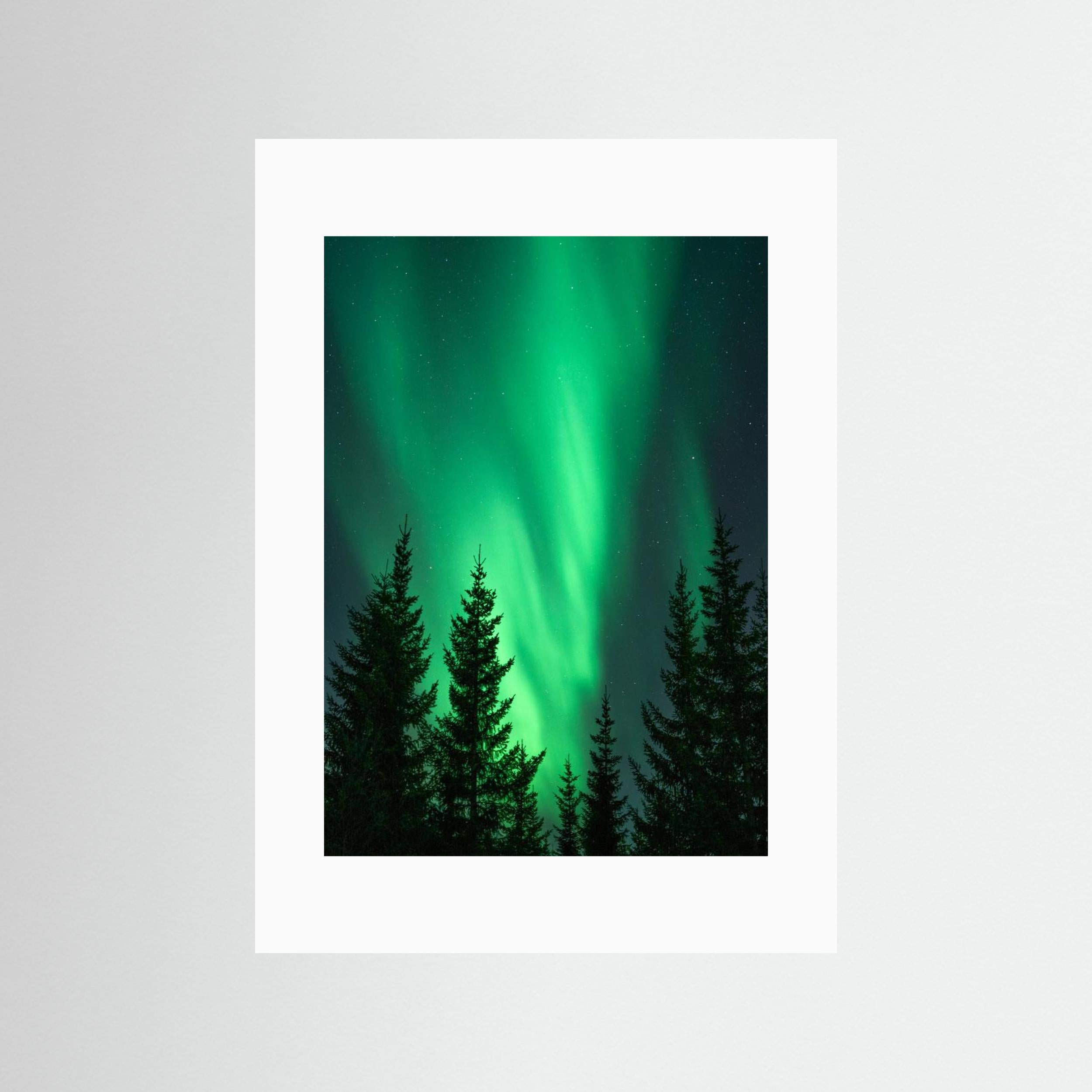 Northern Lights in the Woods by Henrike Schenk