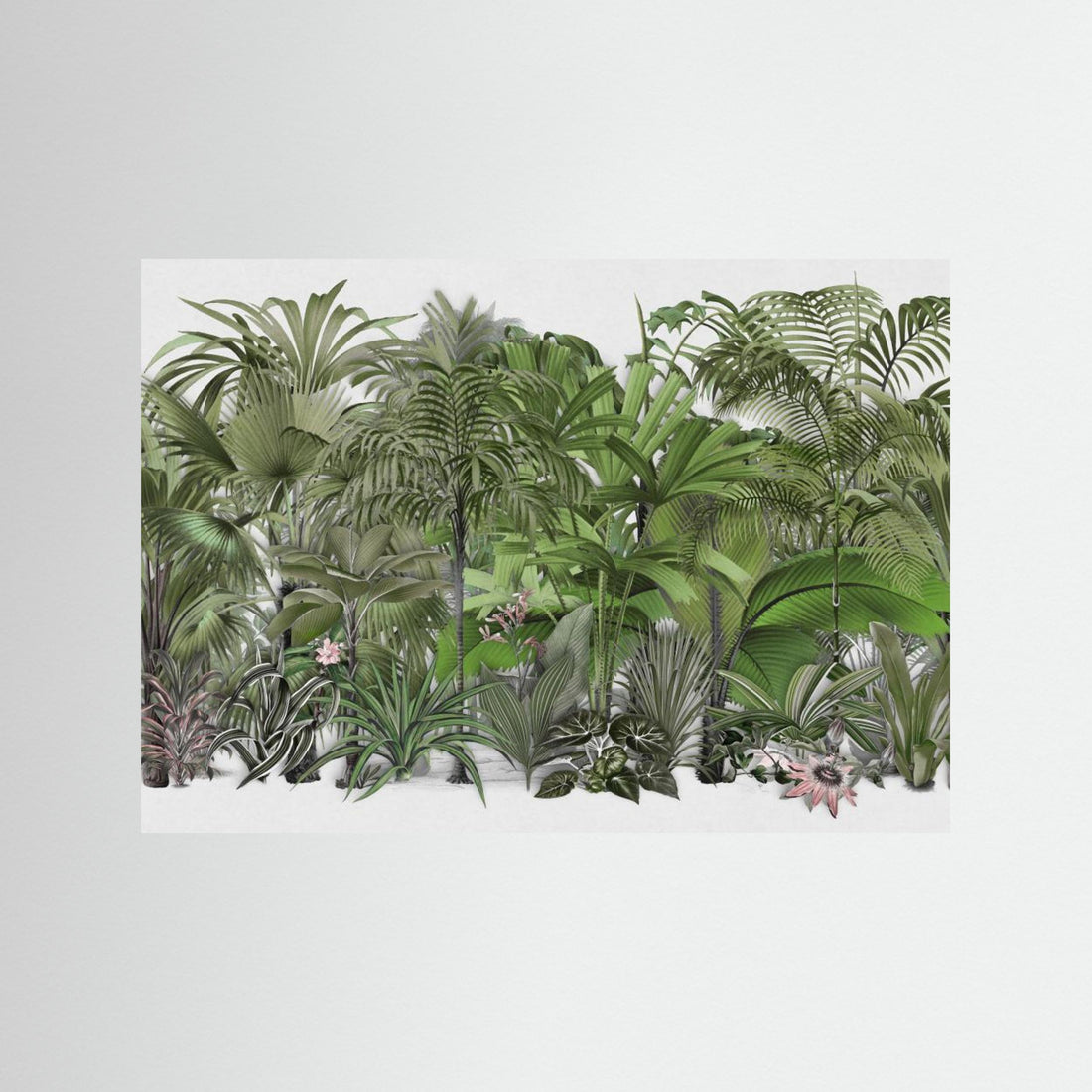 Exotic Wildlife 003 1 by Andrea Haase