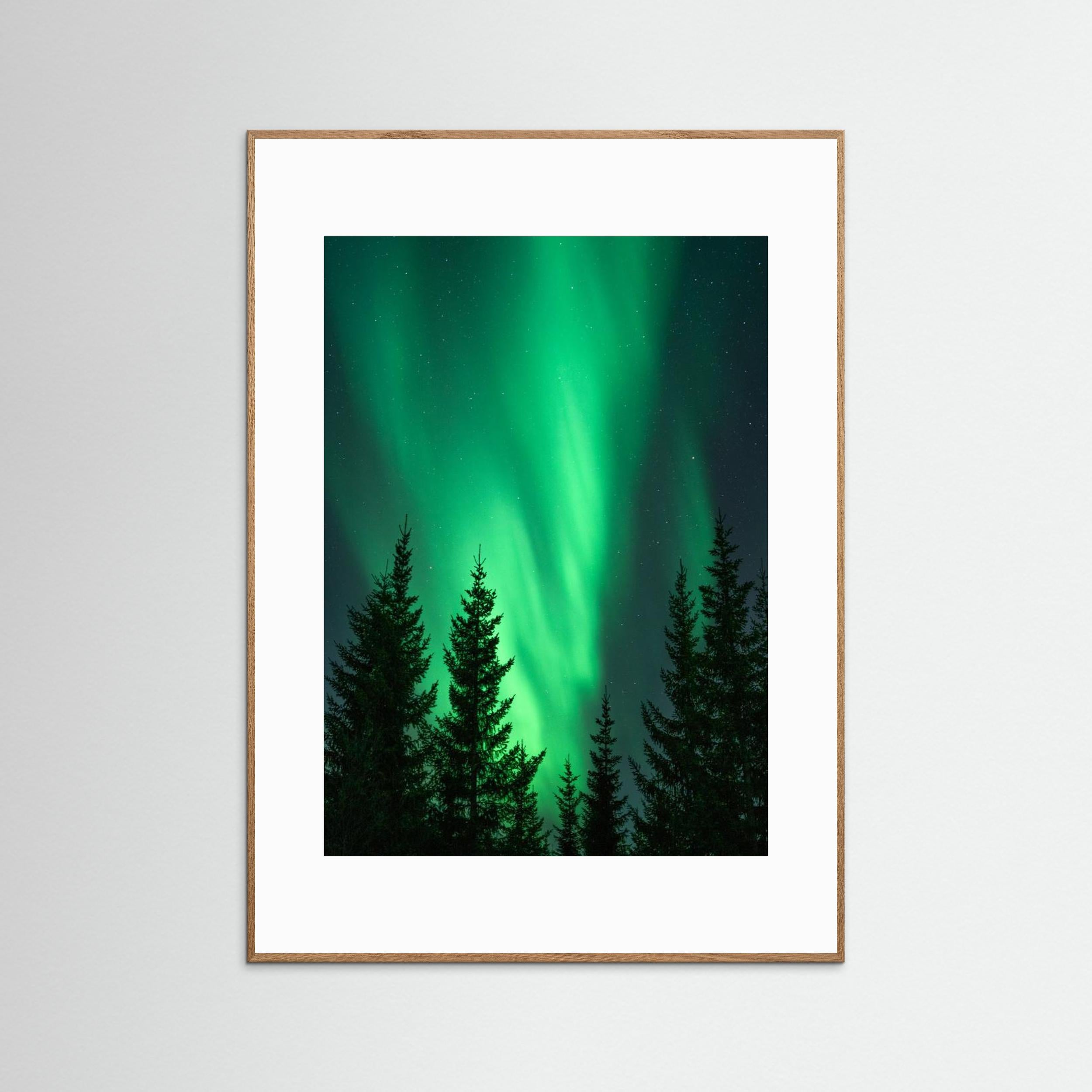 Northern Lights in the Woods by Henrike Schenk