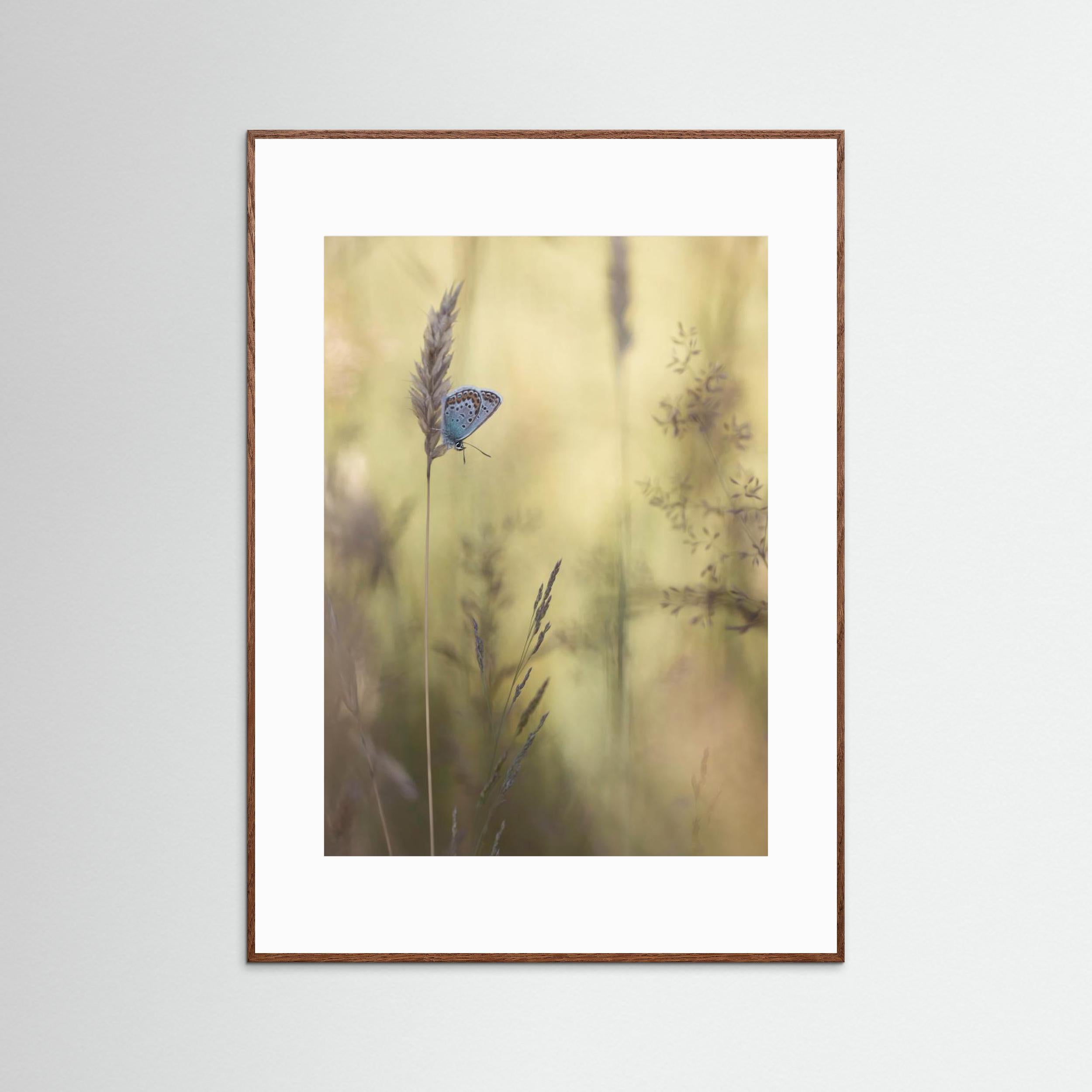 Colorful by Daan De Vos