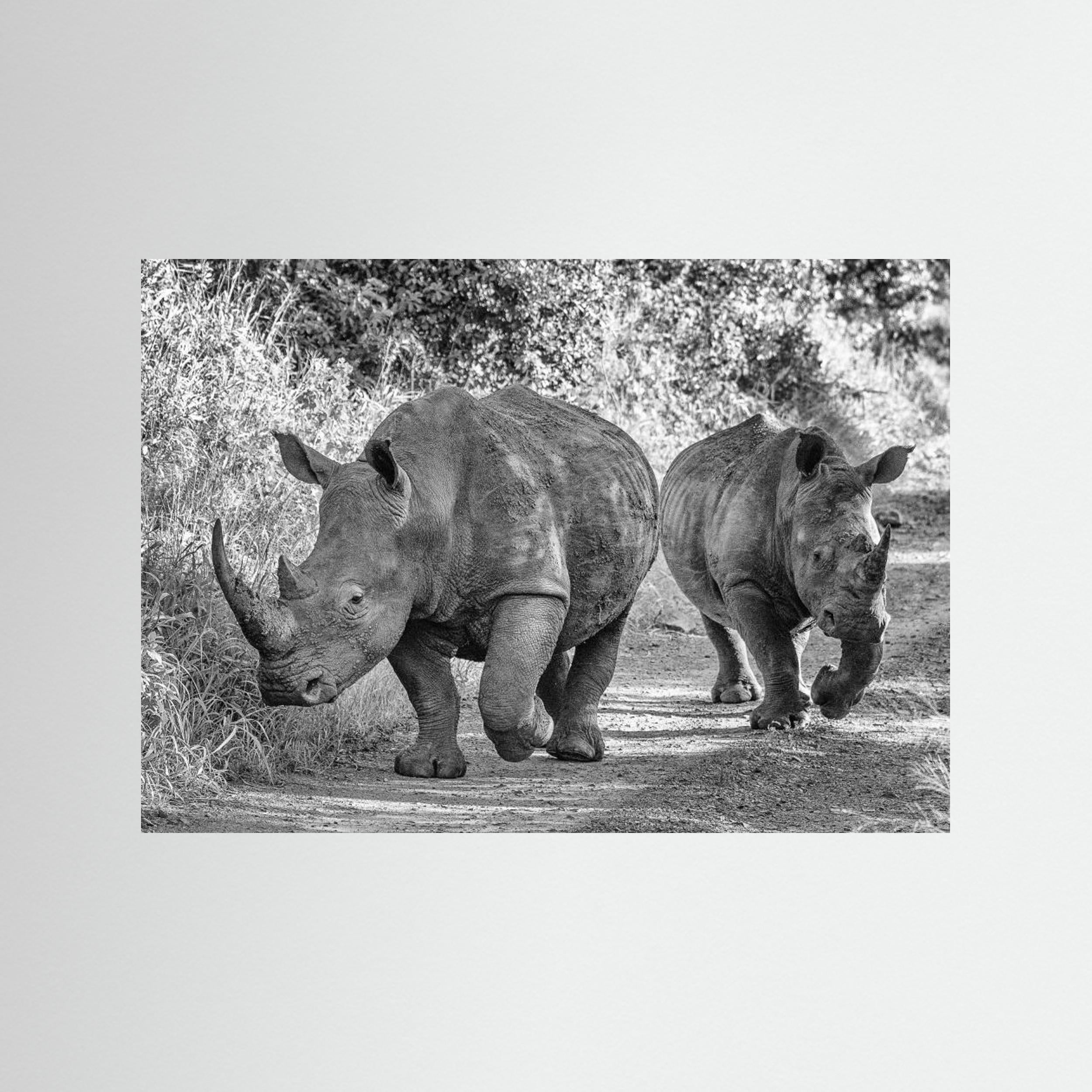 The two rhinos - Wildlife III by Regine Richter