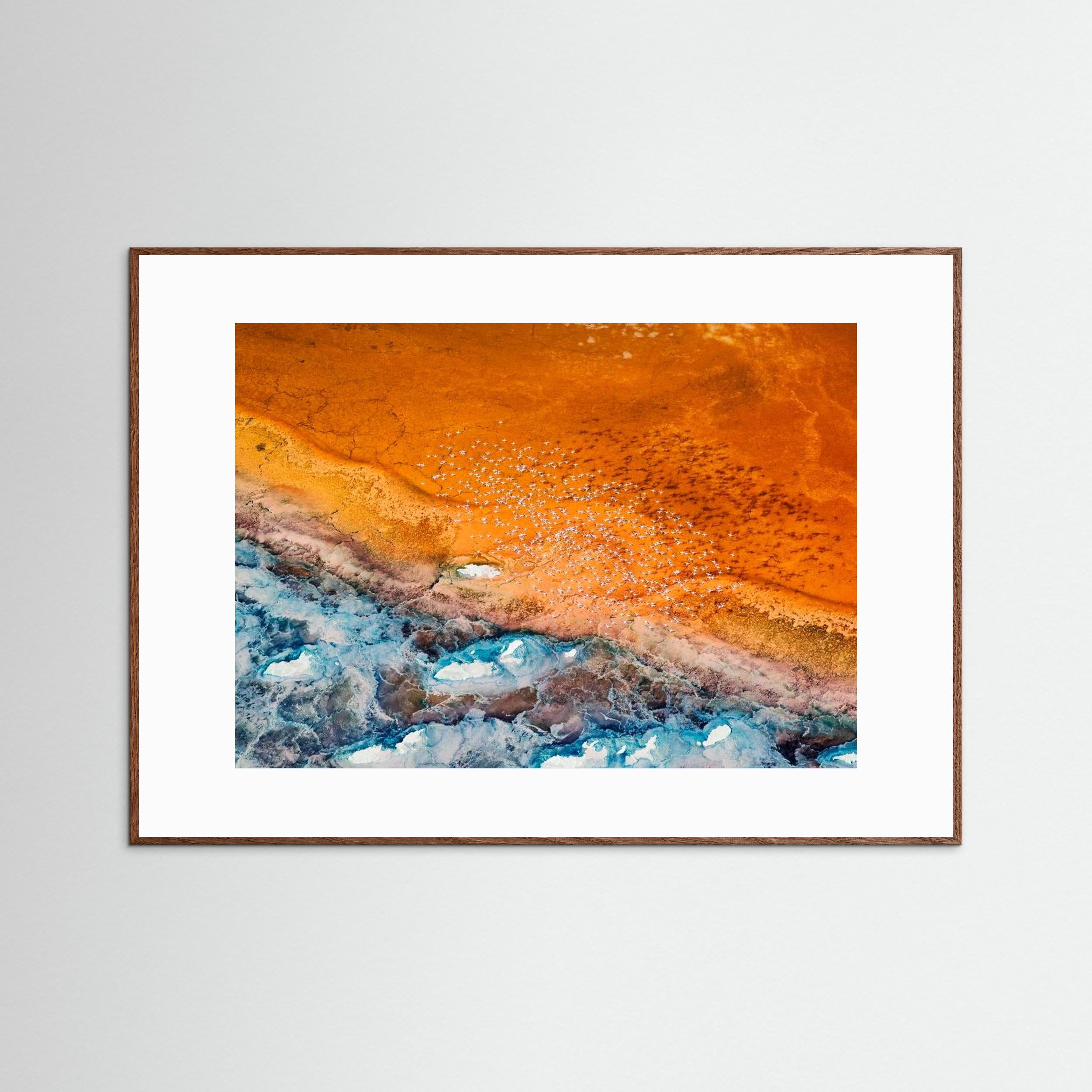 Colorful by Phillip Chang