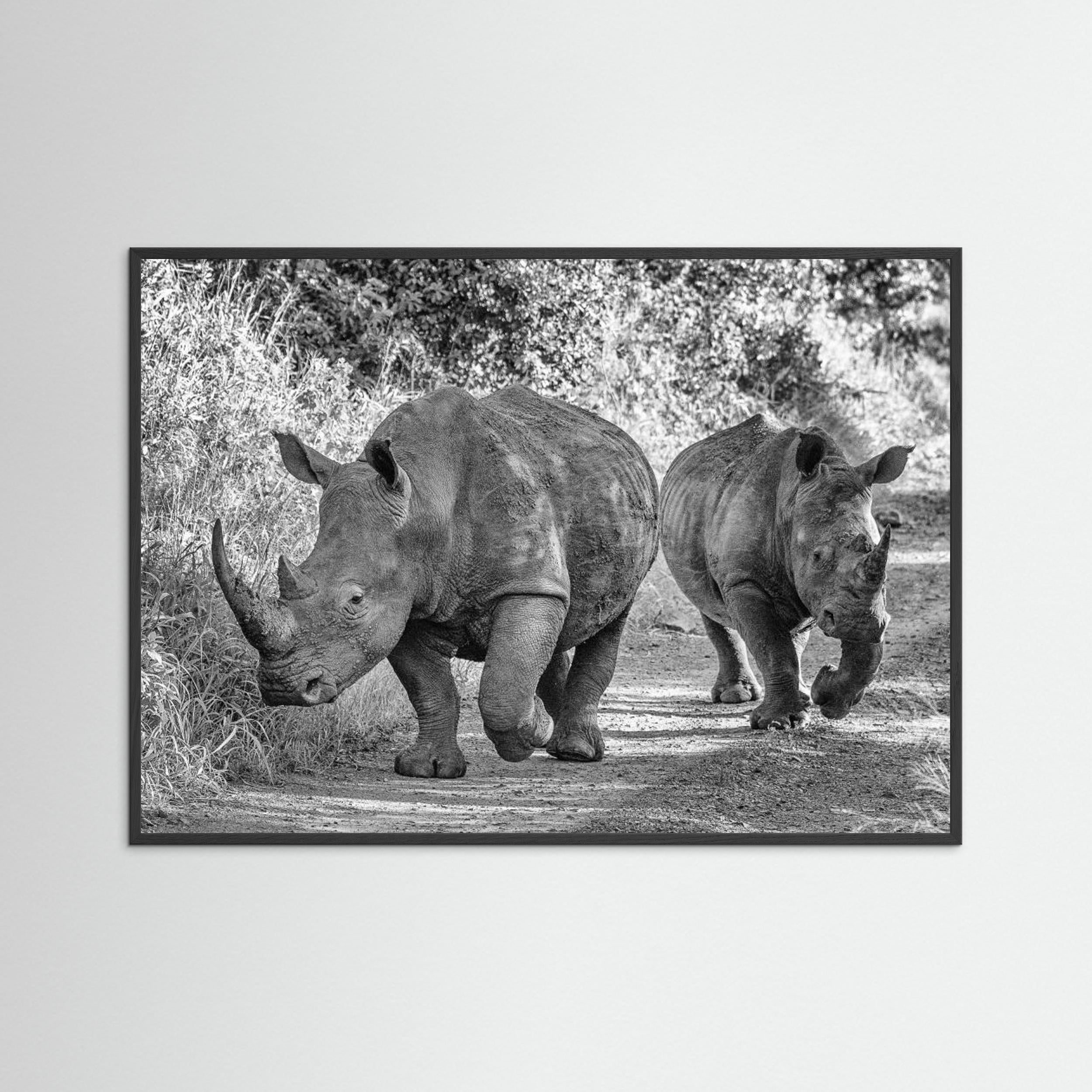 The two rhinos - Wildlife III by Regine Richter