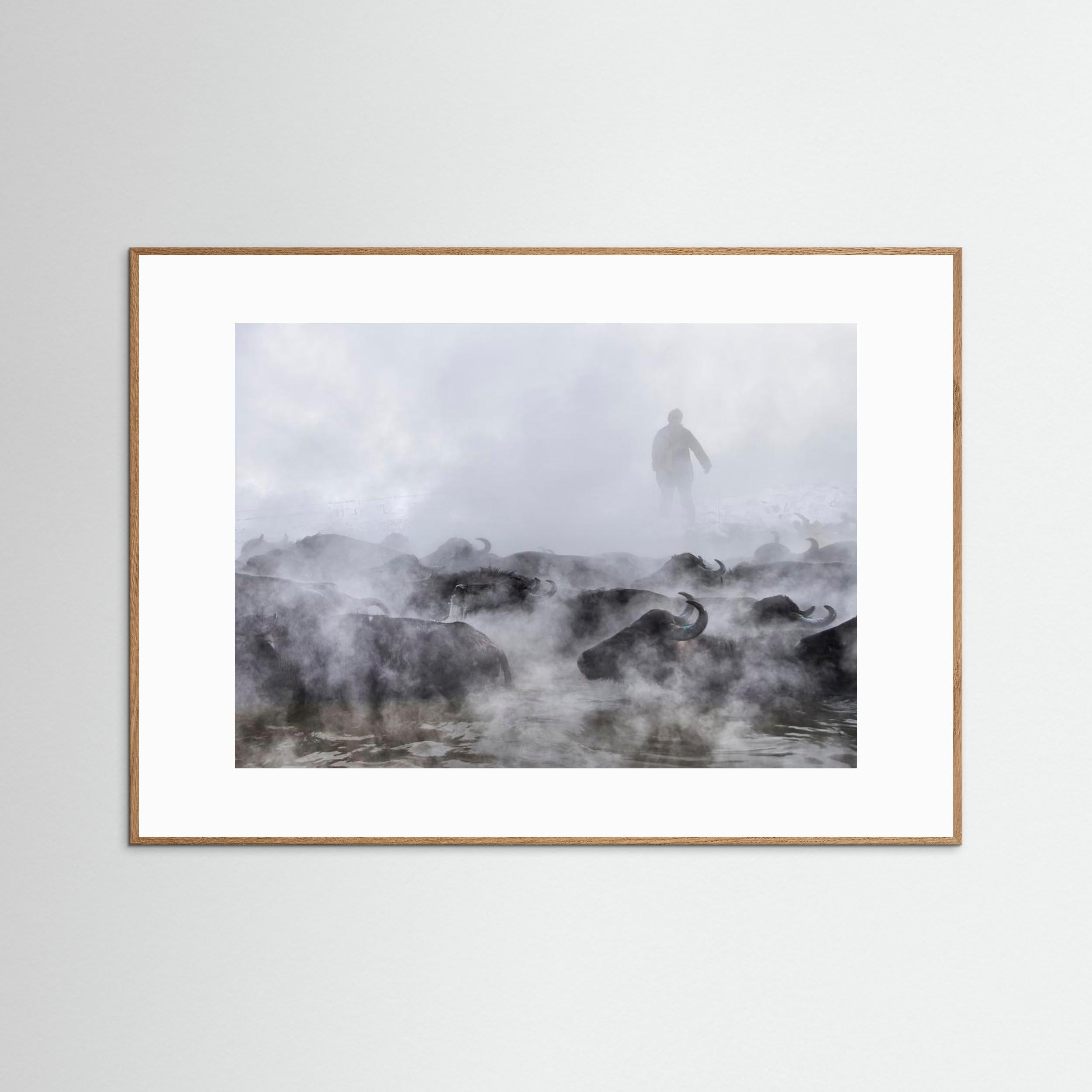 Wild Life by Ferhat Gursu