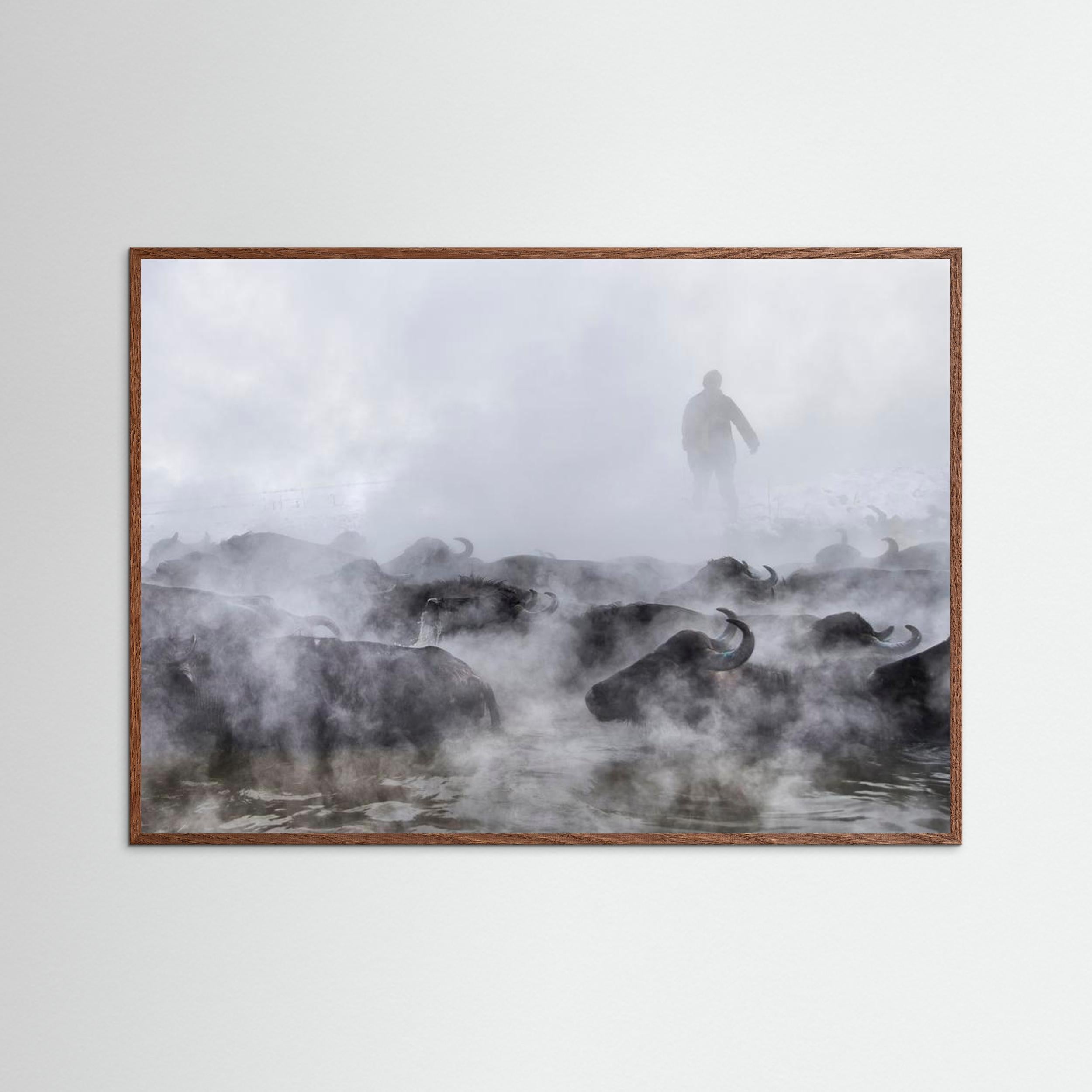 Wild Life by Ferhat Gursu