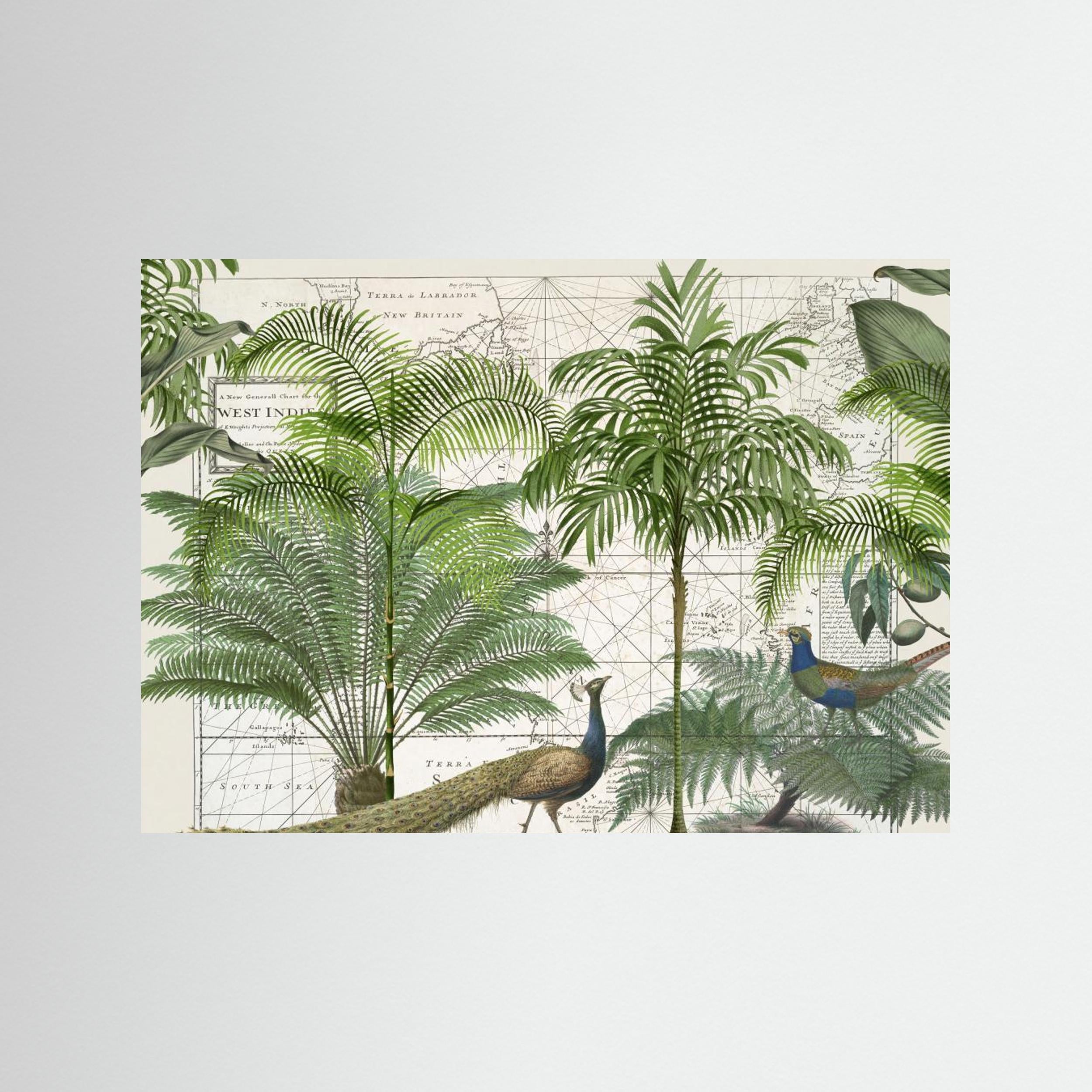 Tropical Empire No6 by Andrea Haase