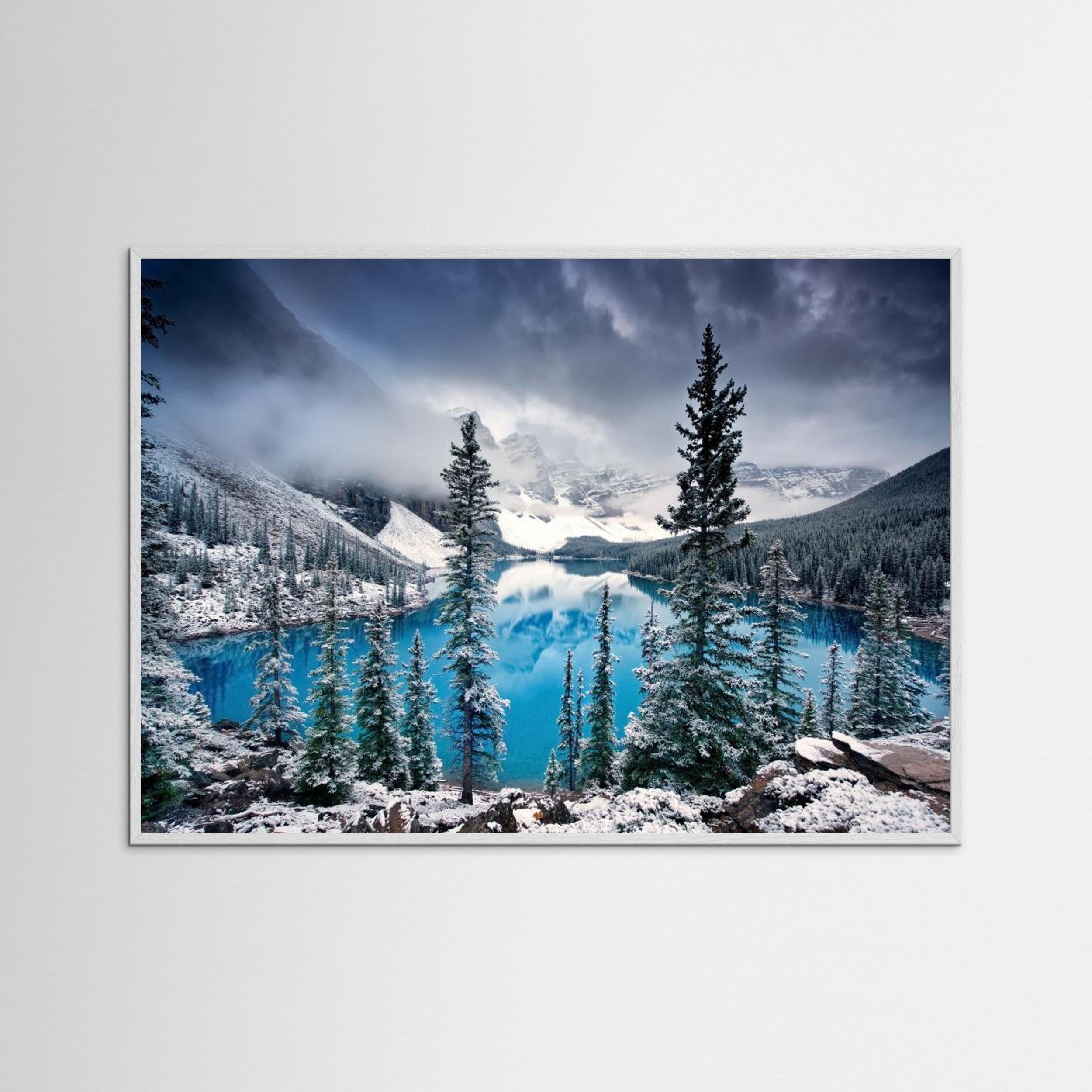 Morning blues by Trevor Cole