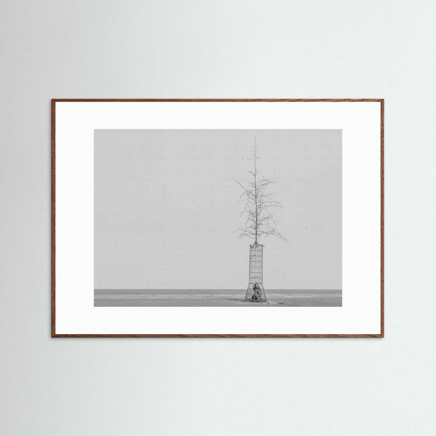 the tree by Klaus Lenzen